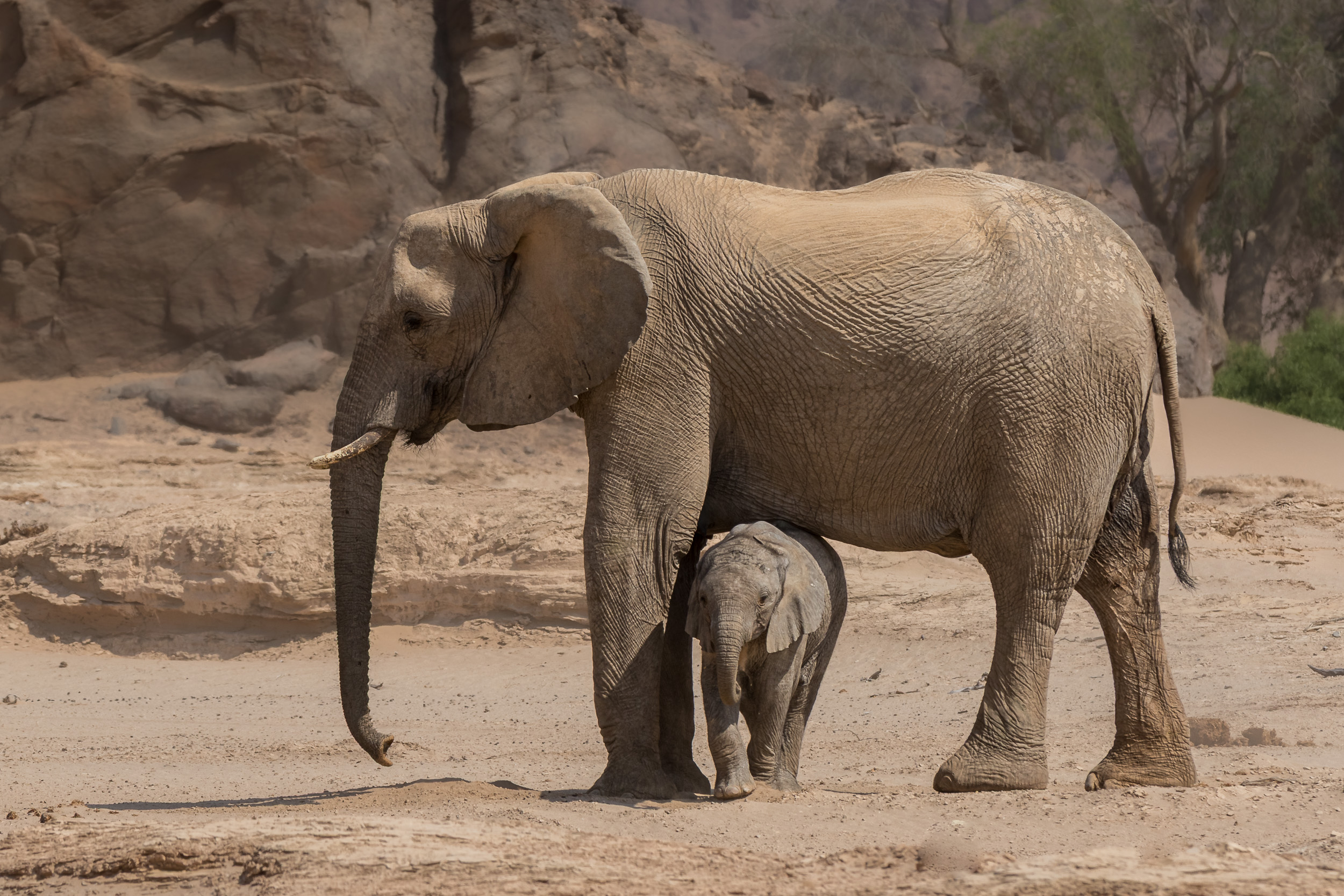 Hoanib, Mega, Namibia