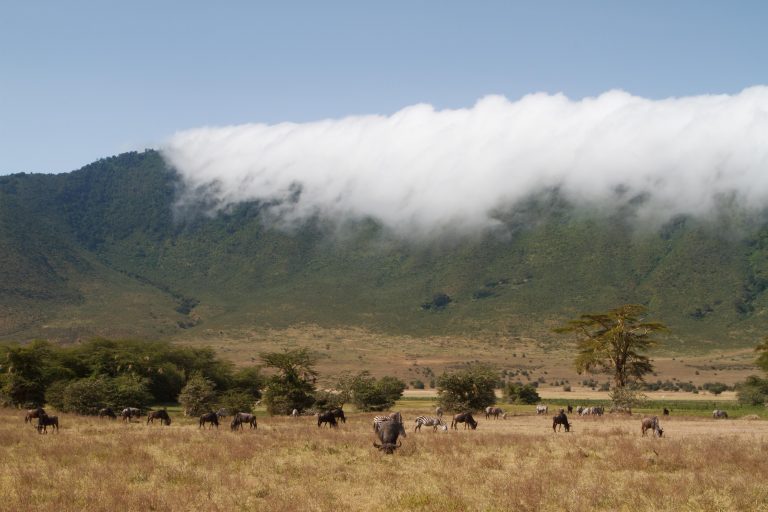 Ngorongoro Conservation Area – Tanzania