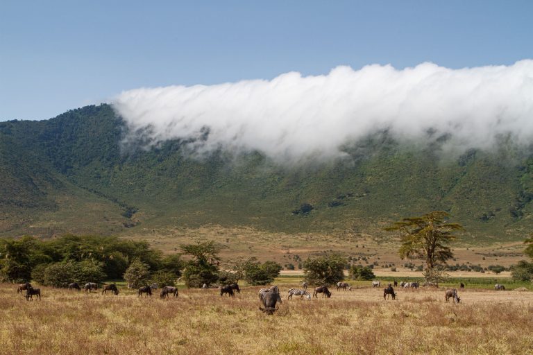 Crater, Ngorongoro Conservation Area, Tanzania