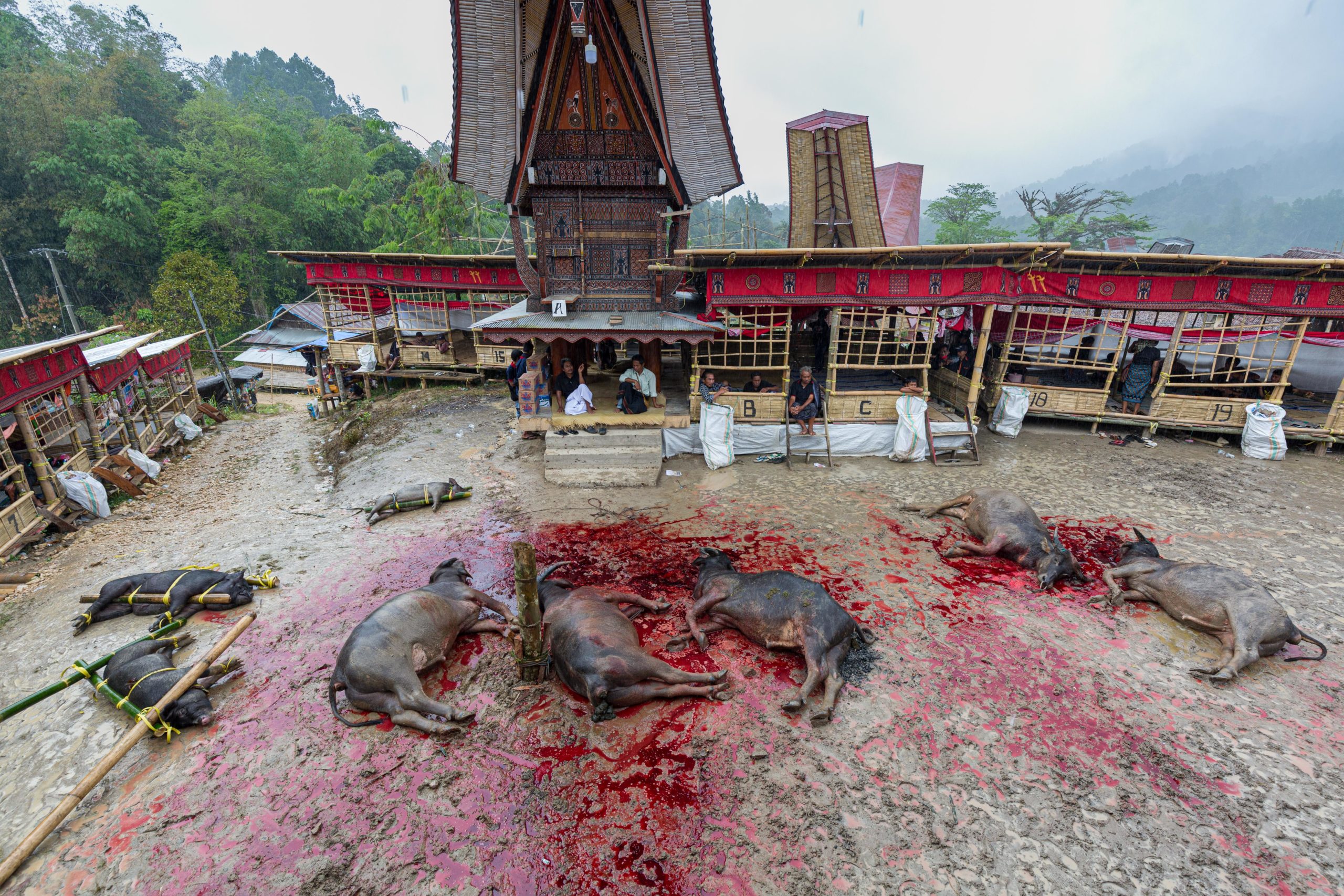 Rambu Solo, Tana Toraja