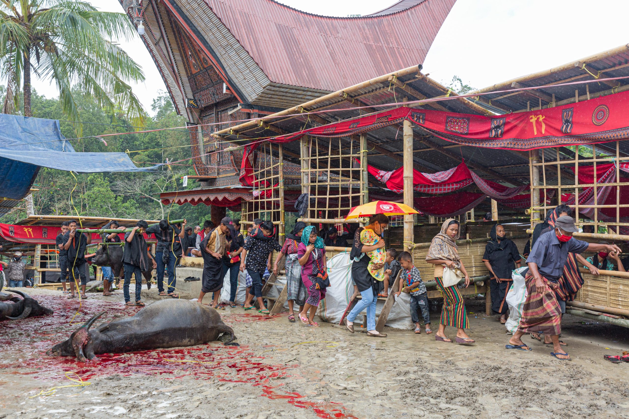 Rambu solo funeral ceremony tana toraja