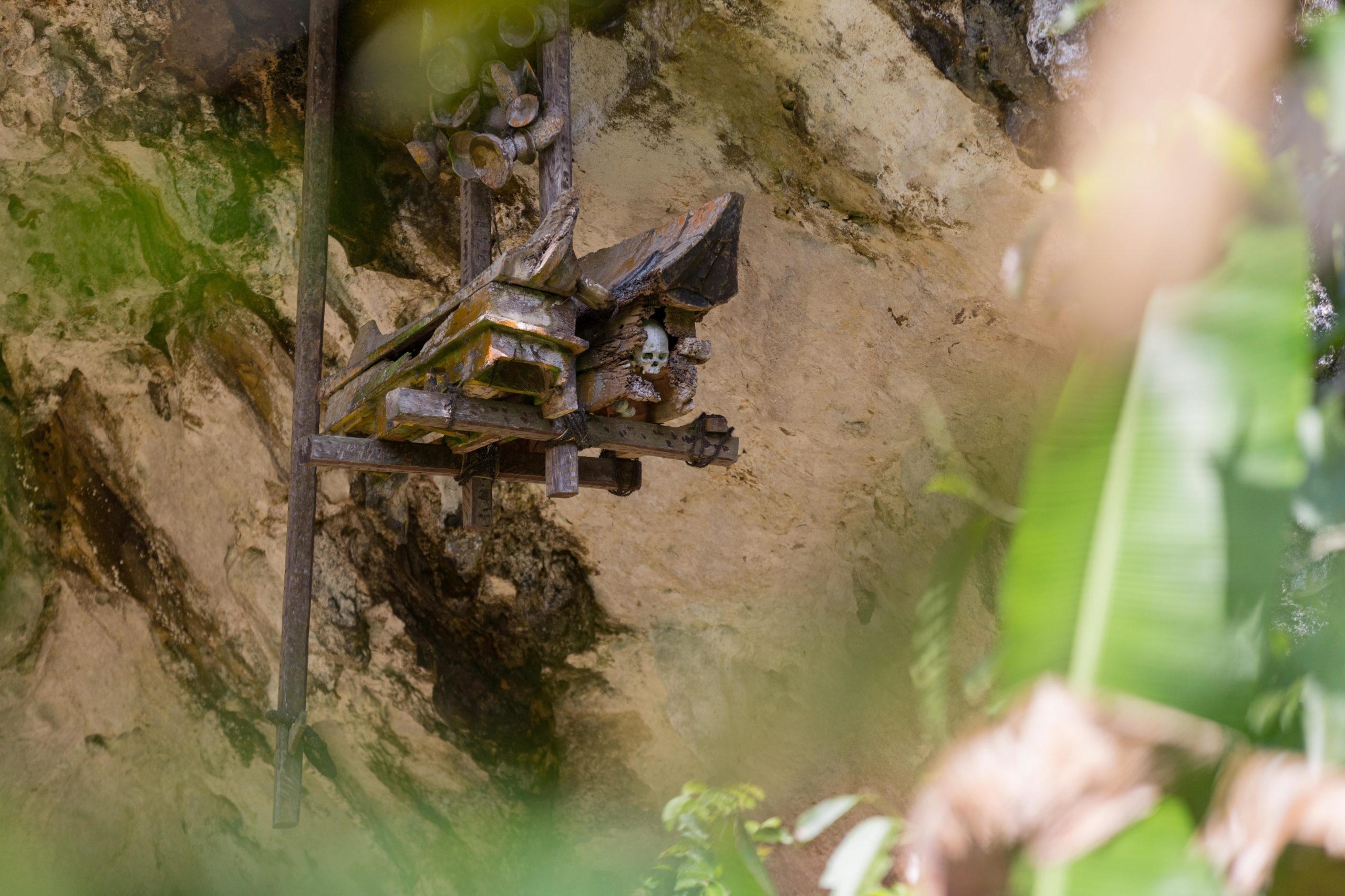hanging coffins cave burial site in londa, south sulawesi