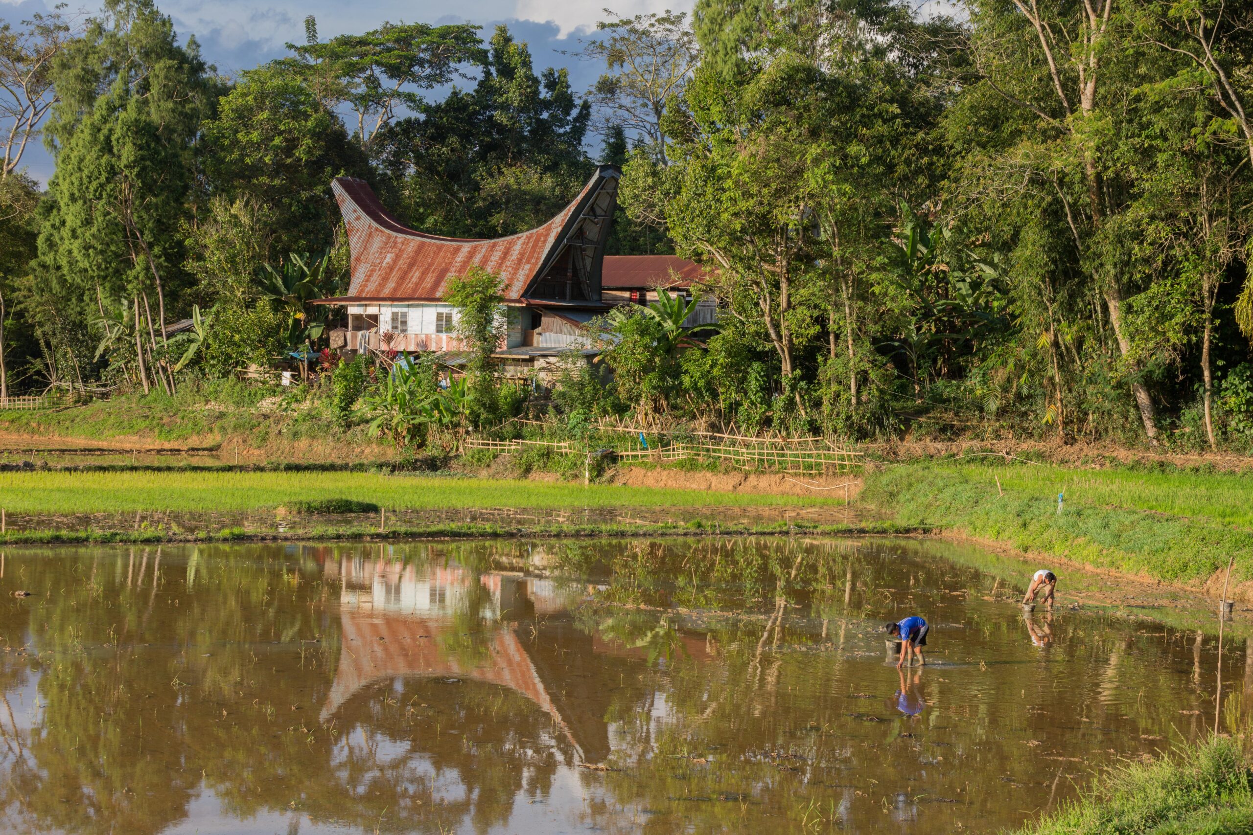 Tana Toraja South Sulawesi Indonesia