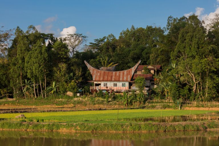 A traditional Tongkonan house in Tana Toraja, on the island of Sulawesi, Indonesia