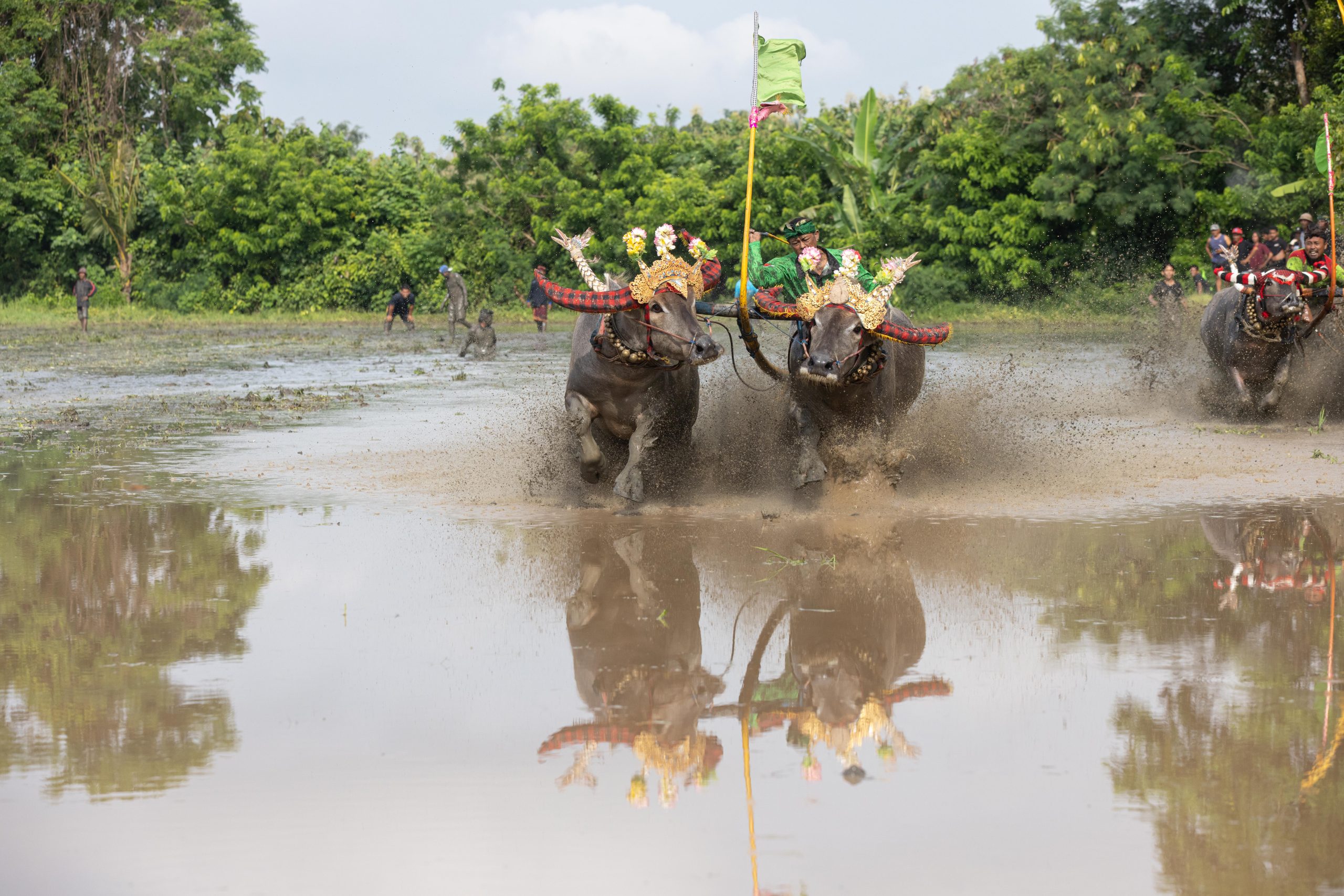 Bali, Indonesia, Makepung, Negara, lampit