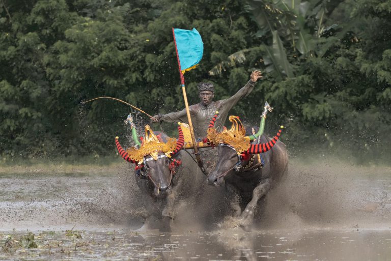 Bali, Indonesia, Makepung, Negara, lampit