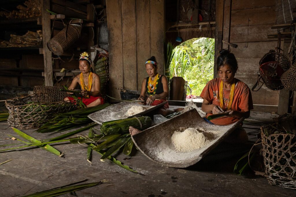 2023, February, Highlights, Indonesia, Mentawai, Siberut, Sumatra, Top Selection