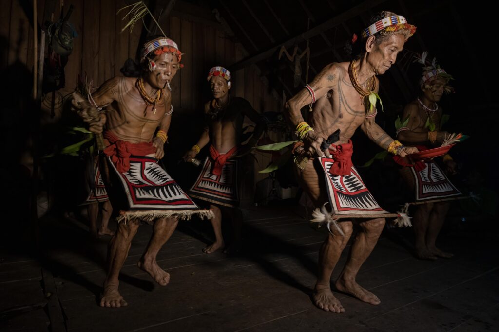 2023, February, Highlights, Indonesia, Mentawai, Siberut, Sumatra, Top Selection