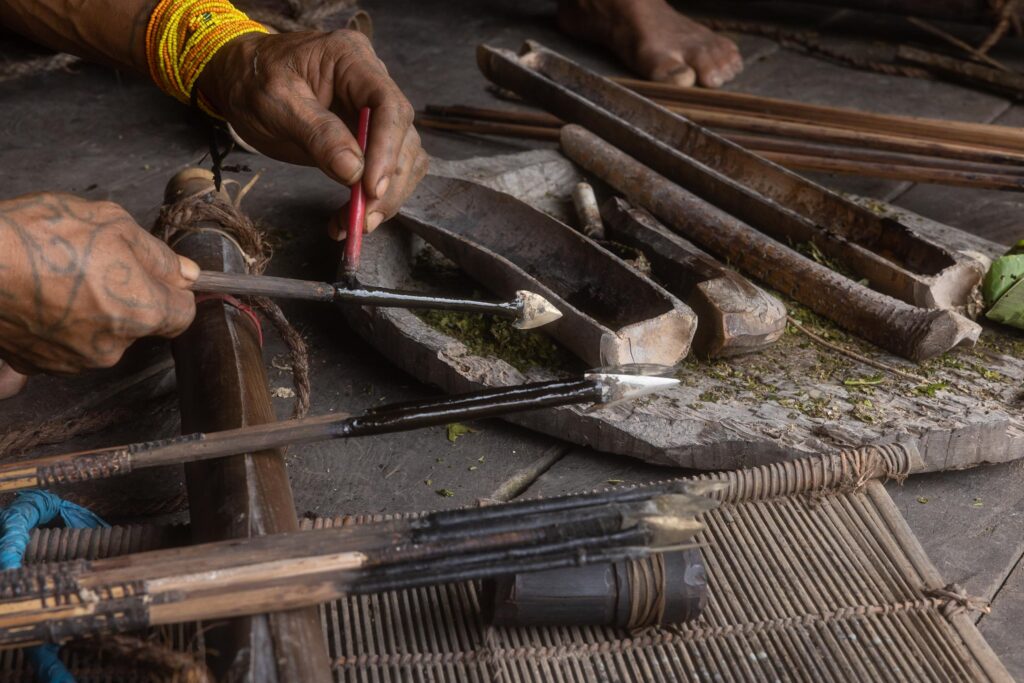 2023, February, Highlights, Indonesia, Mentawai, Siberut, Sumatra, Top Selection