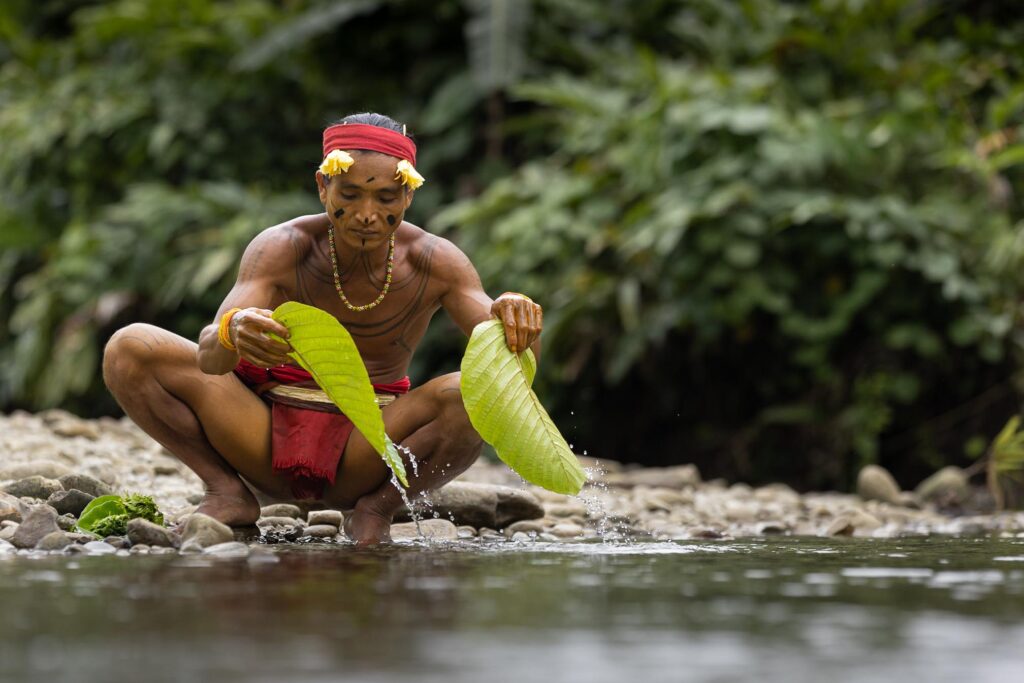 2023, February, Highlights, Indonesia, Mentawai, Siberut, Sumatra, Top Selection