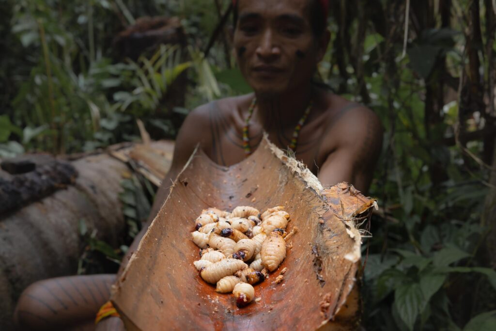 2023, August, Highlights, Indonesia, Mentawai, Siberut, Top Selection