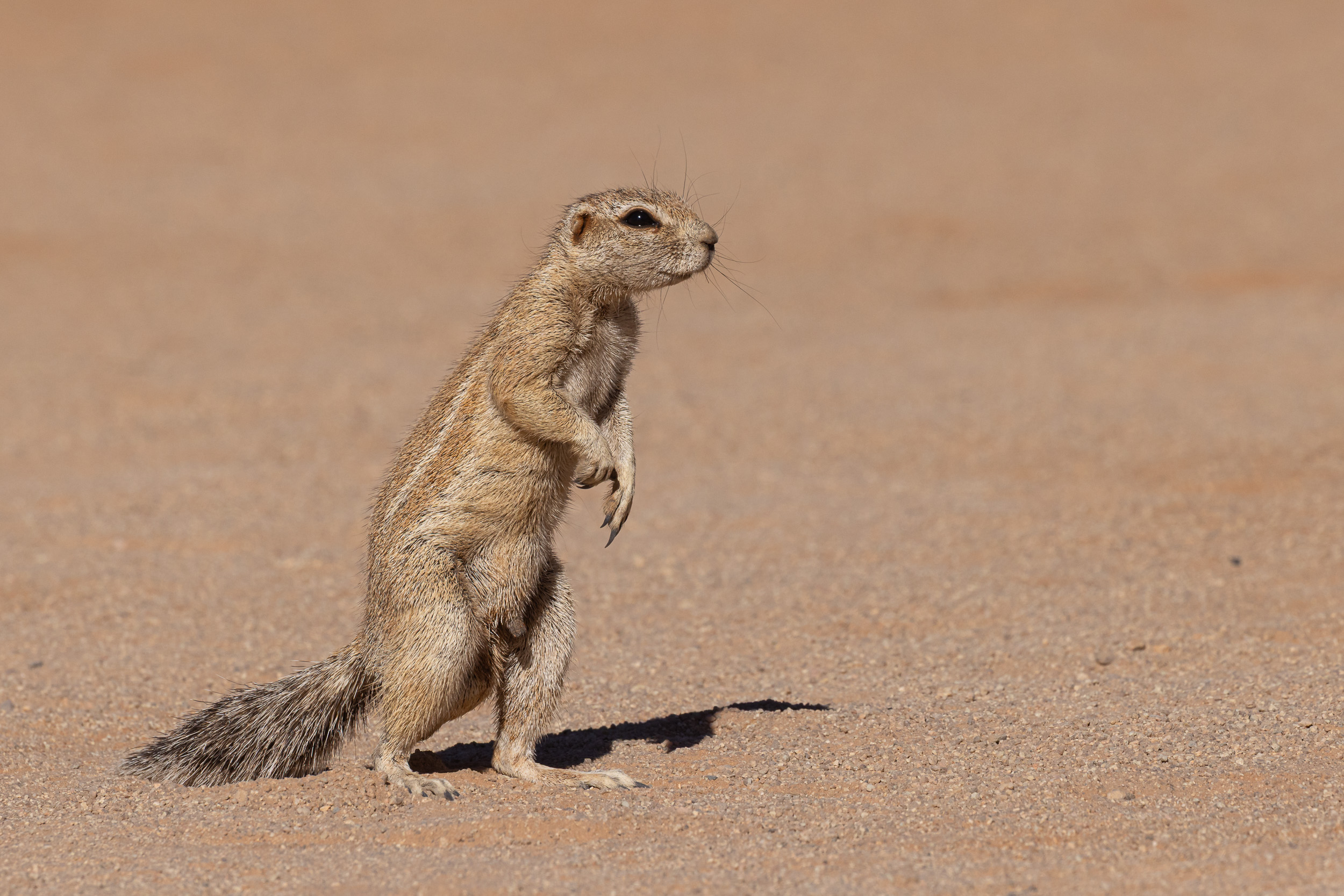 Namibia, Sossusvlei