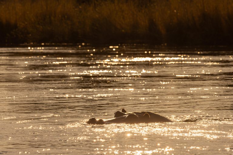 Best of the Caprivi Strip – Namibia