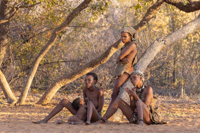 Ju/'Hoansi San, Namibia, San