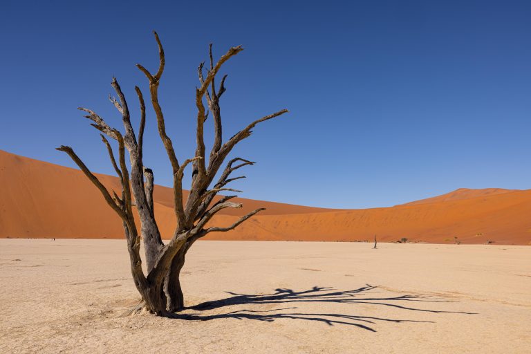 Best of Sossusvlei & Deadvlei – Namibia