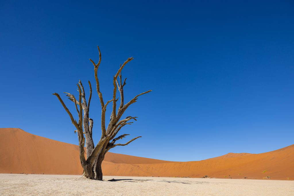 Duniart, Highlights, Namibia, Sossusvlei