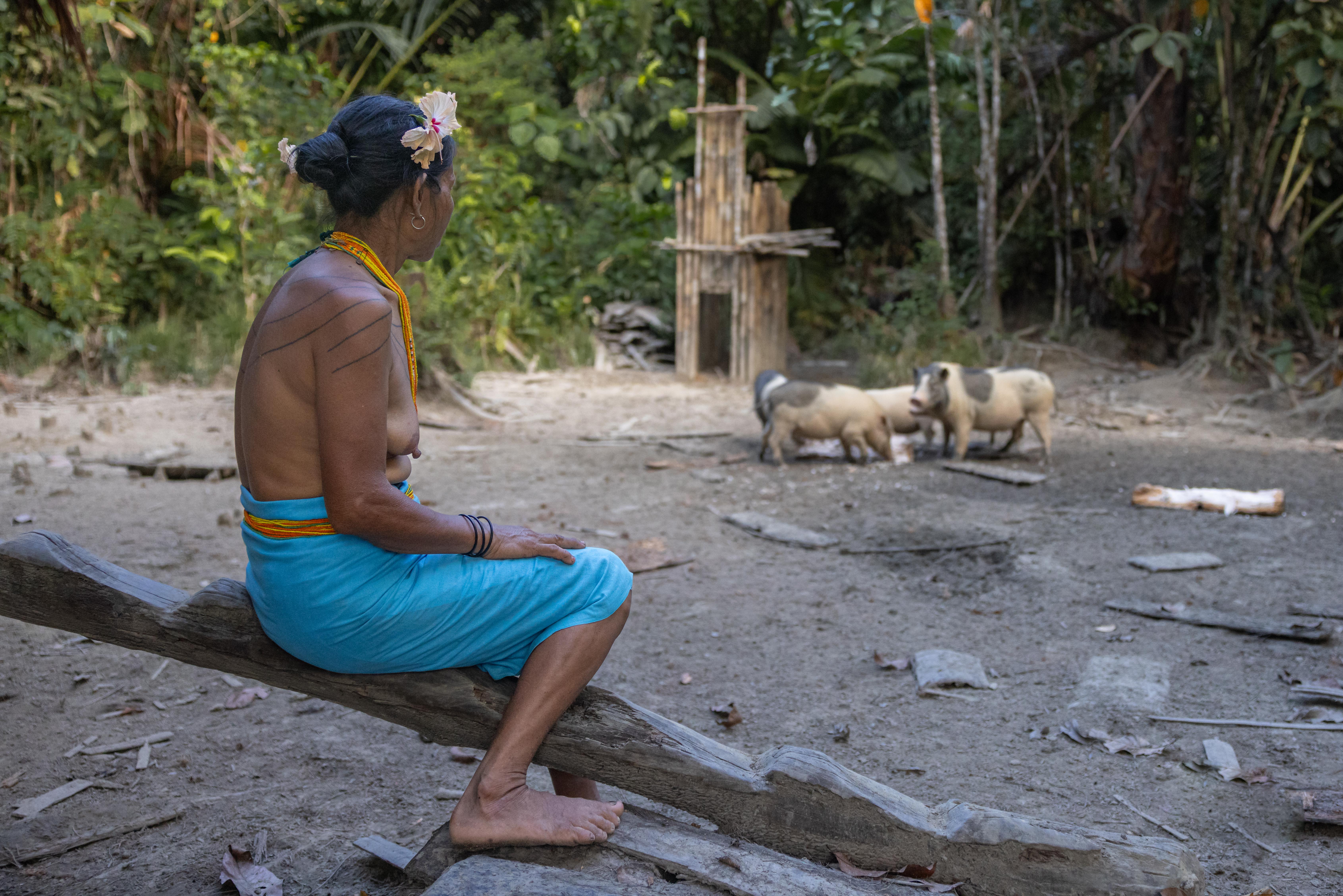 Indonesia, Mentawai, Siberut