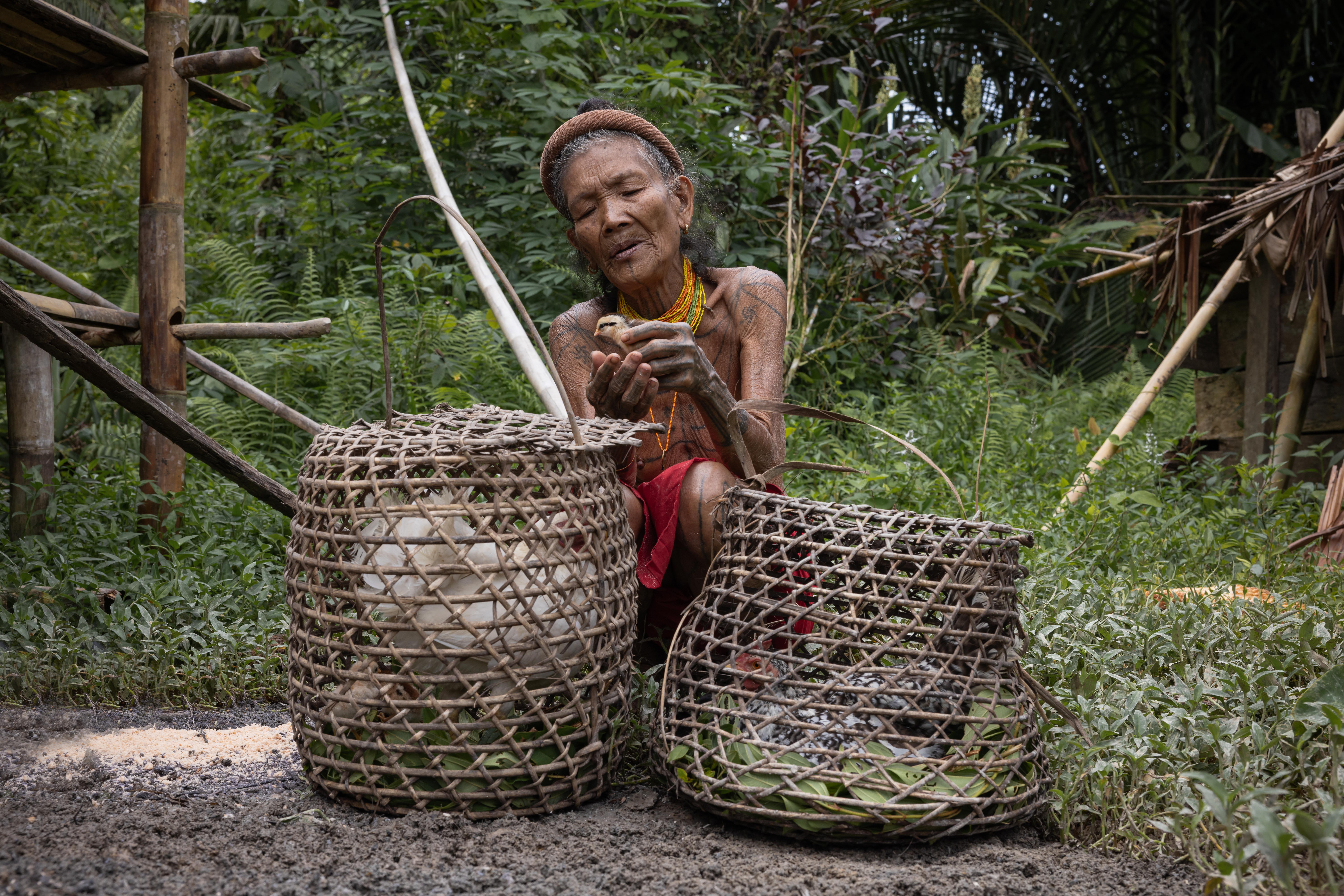 Indonesia, Mentawai, Siberut