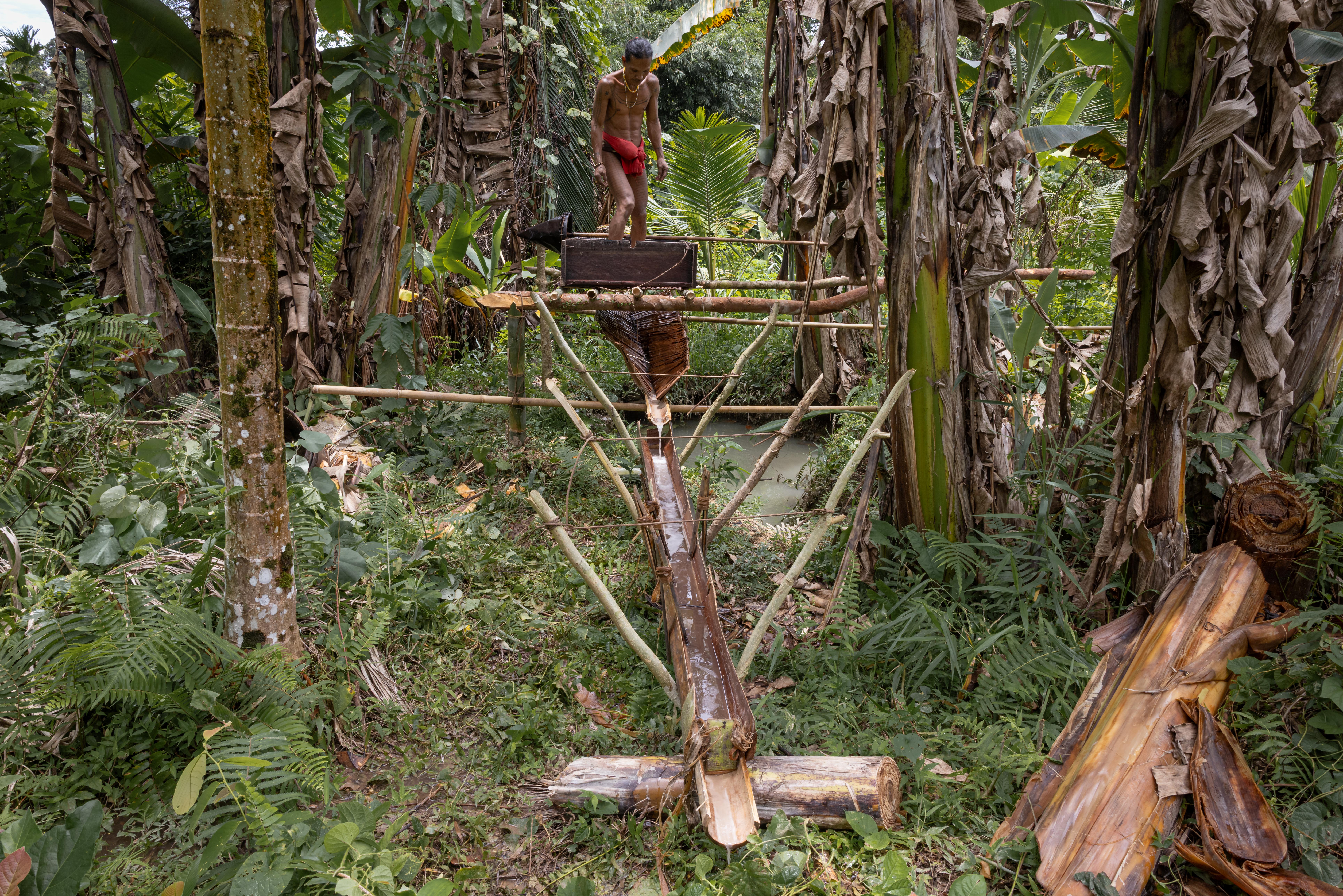Indonesia, Mentawai, Siberut