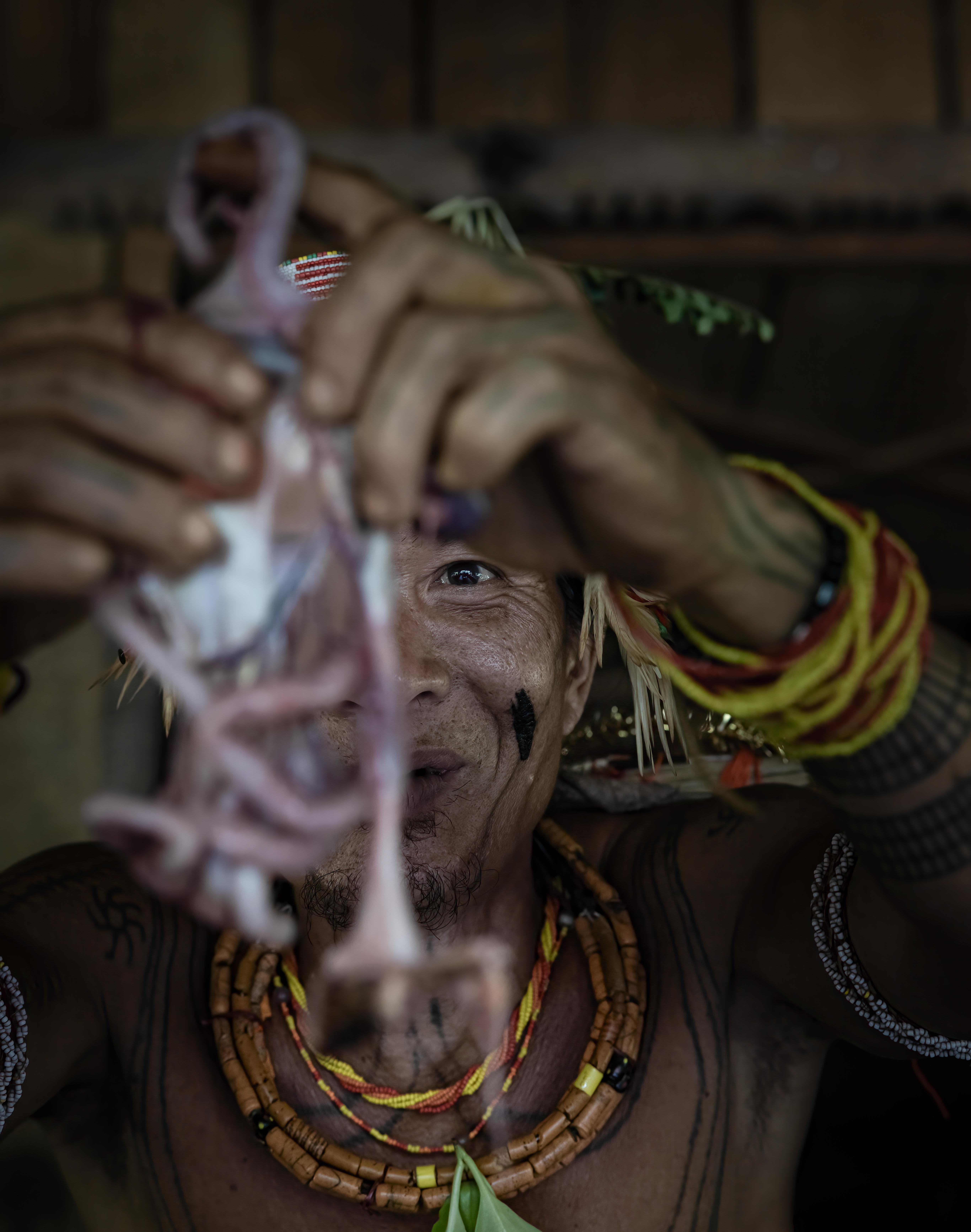 Indonesia, Mentawai, Siberut