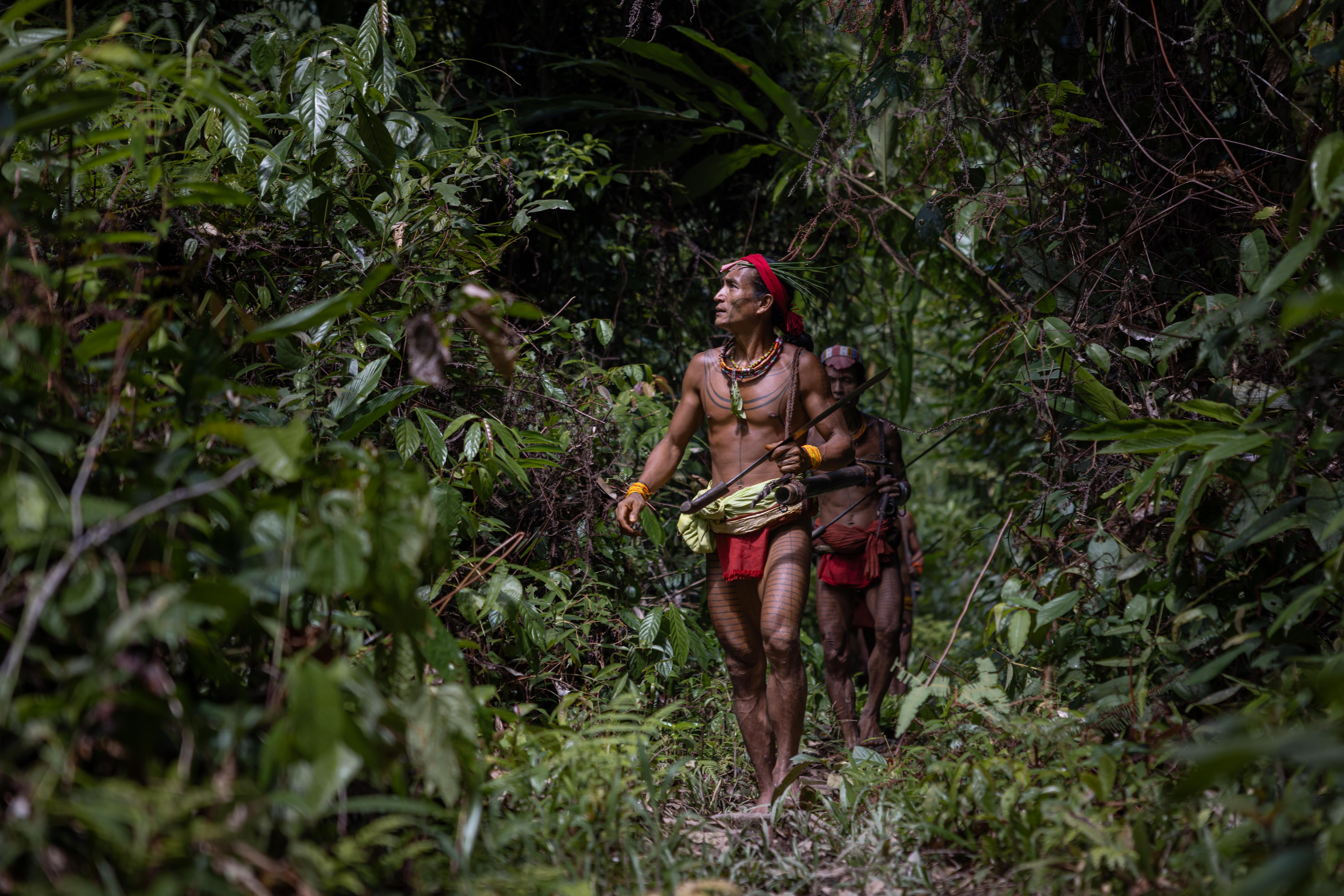 Indonesia, Mentawai, Siberut