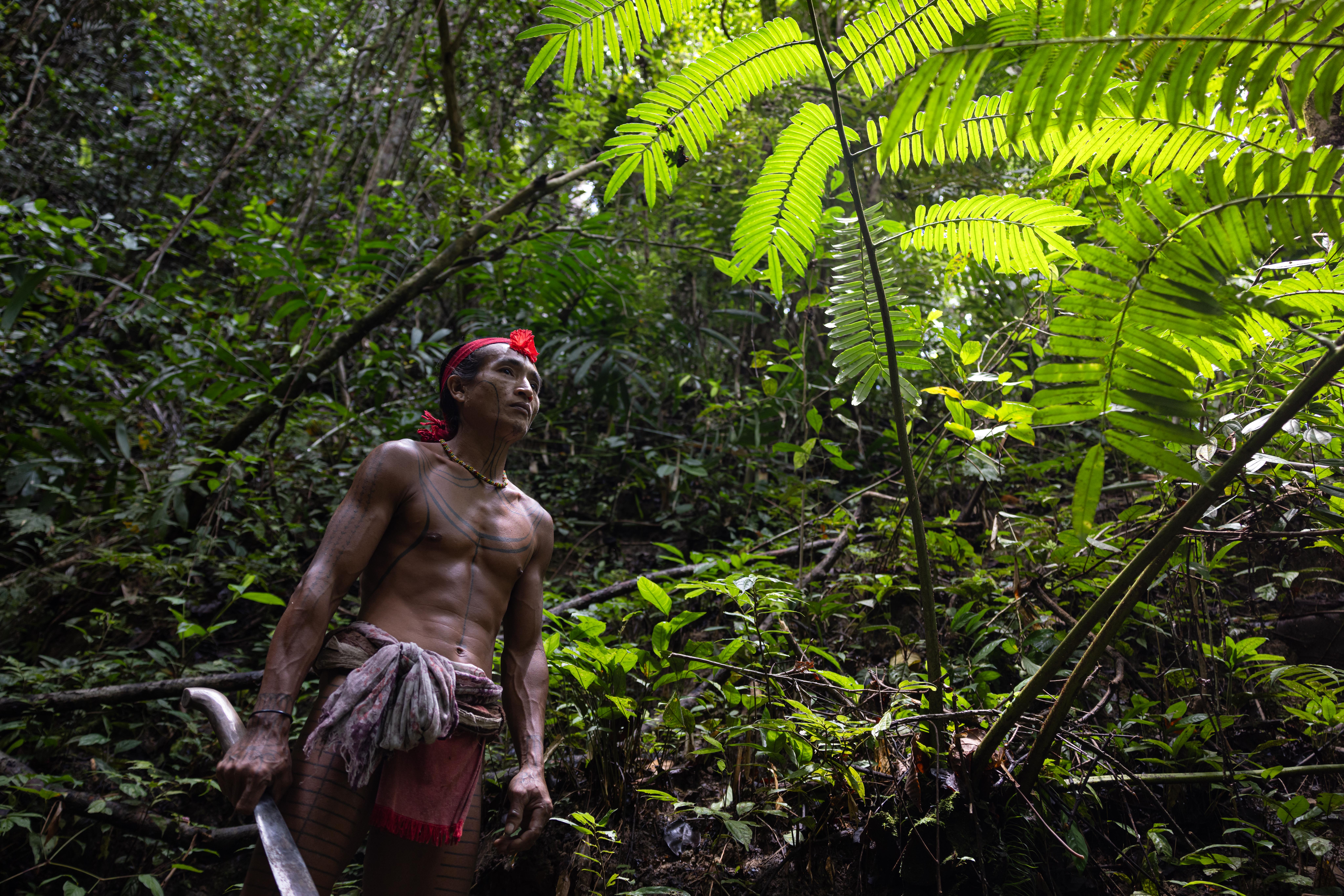Indonesia, Mentawai, Siberut