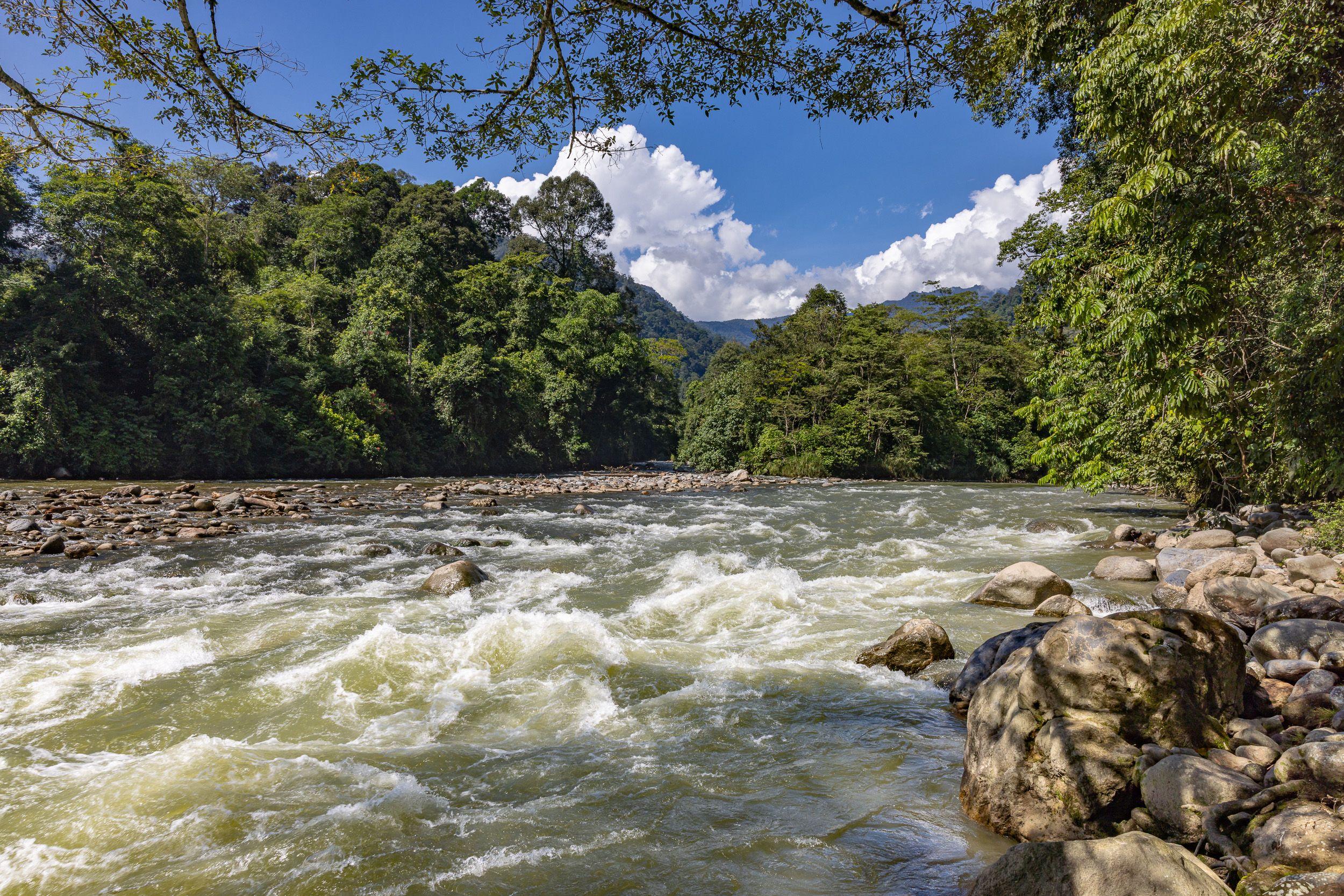 Gunung Leuser, Highlights, Indonesia, Sumatra