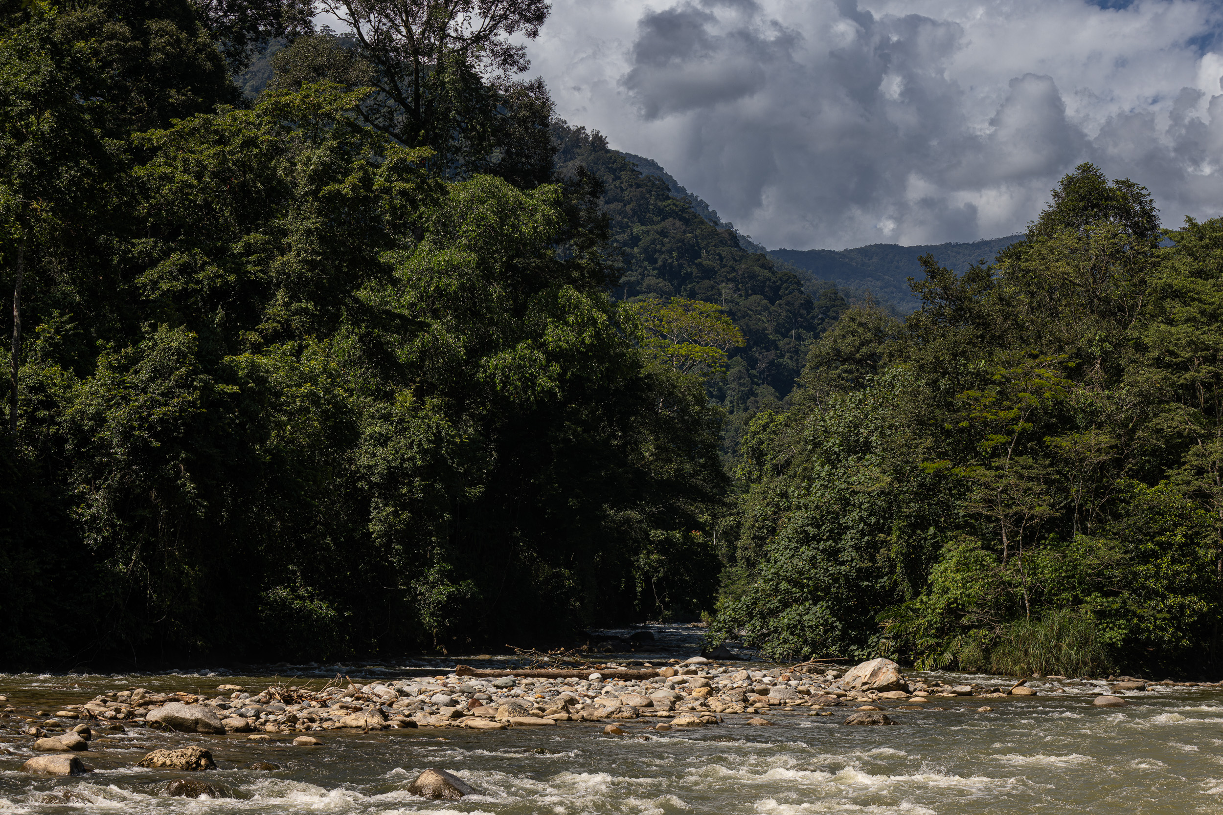 Gunung Leuser, Highlights, Indonesia, Sumatra