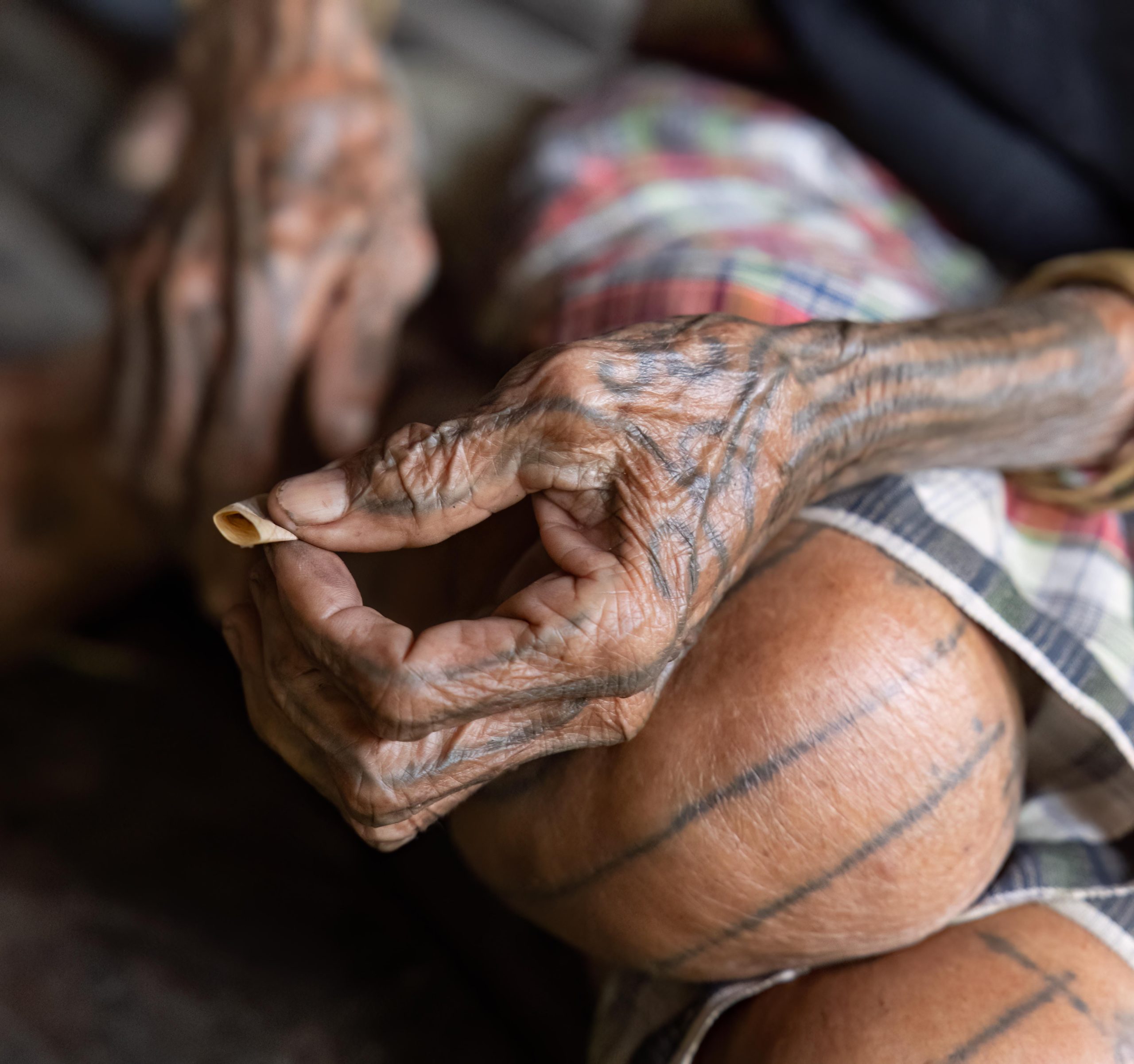 Highlights, Indonesia, Mentawai, Sakuddei, Siberut