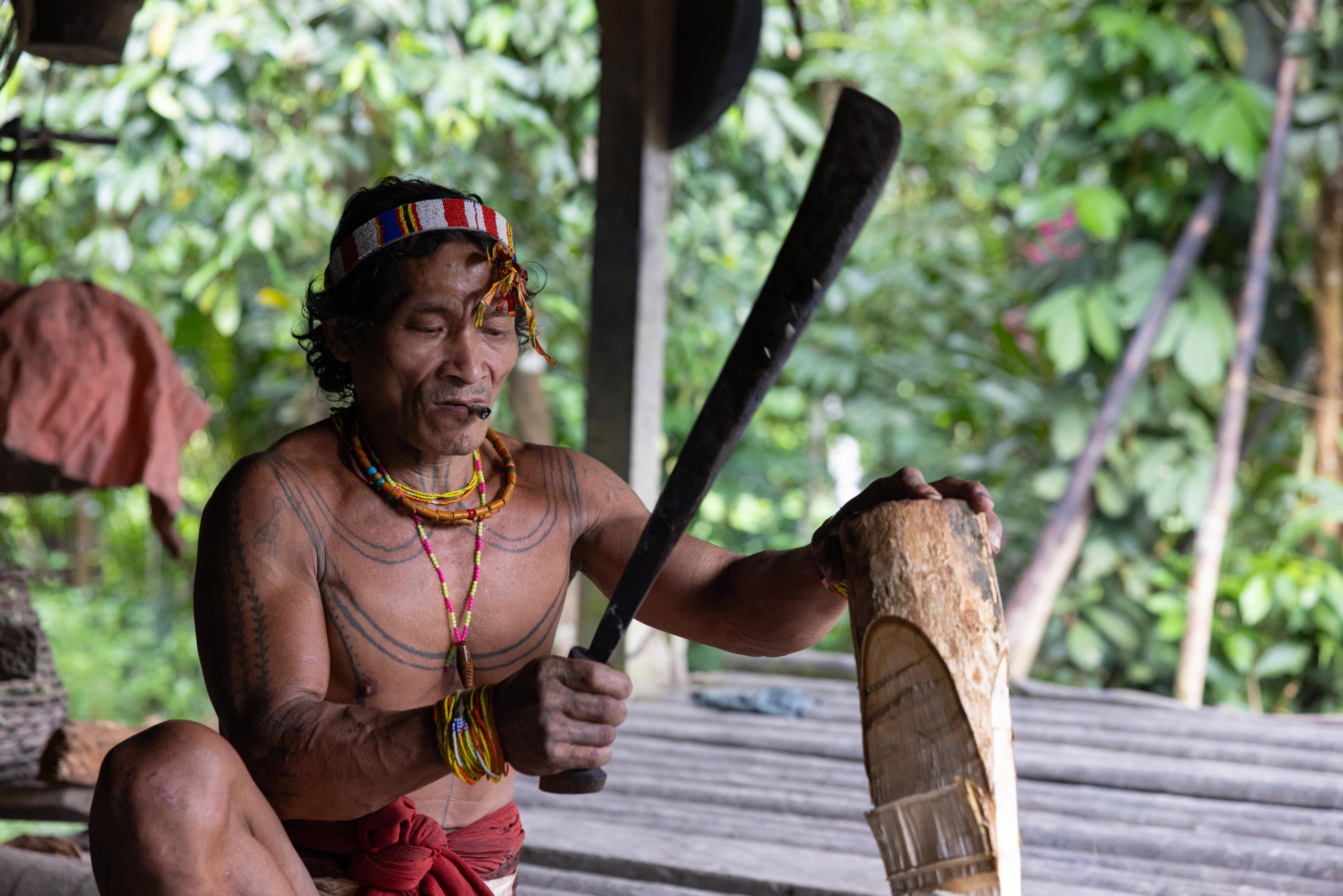 Highlights, Indonesia, Mentawai, Sakuddei, Siberut