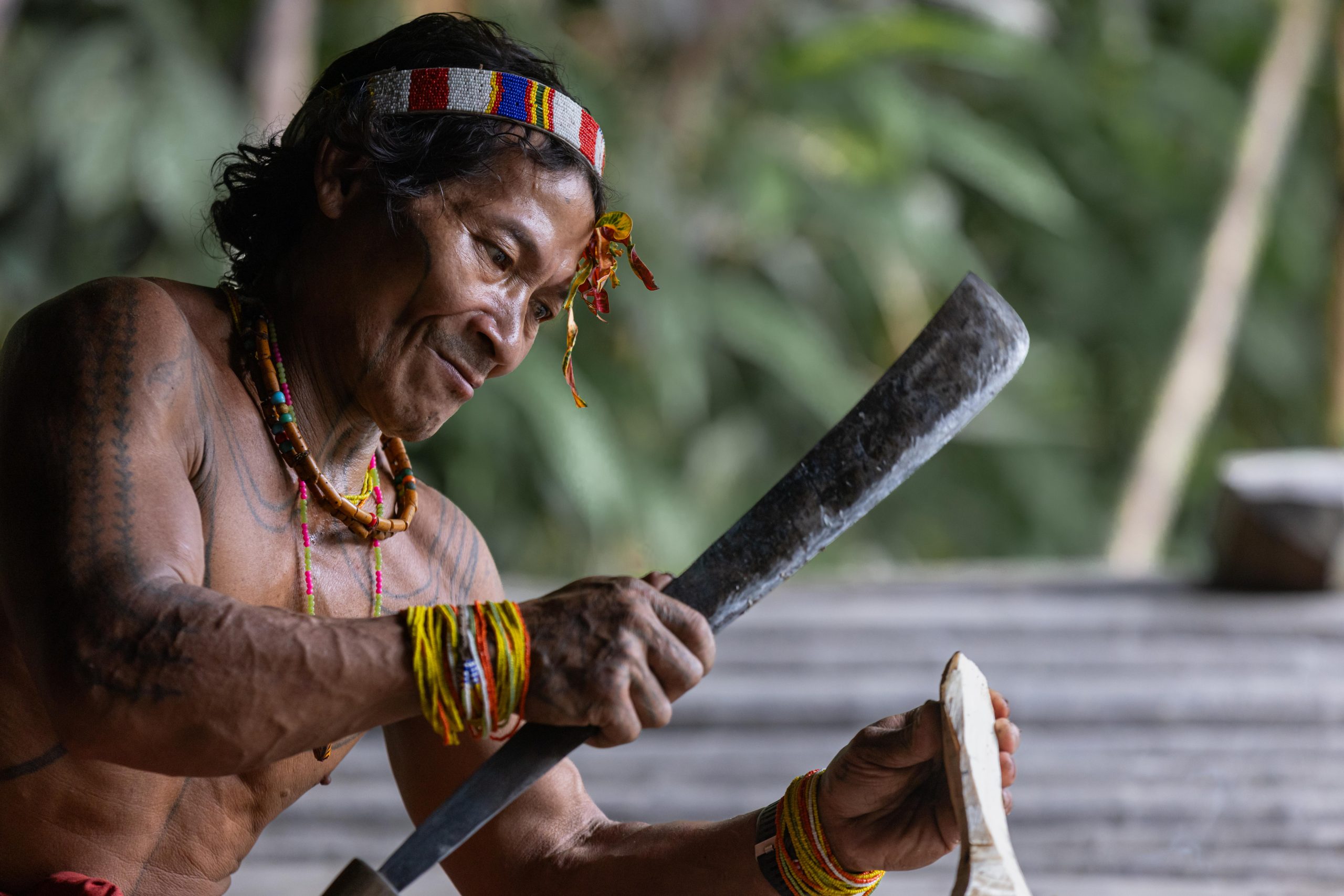 Highlights, Indonesia, Mentawai, Sakuddei, Siberut