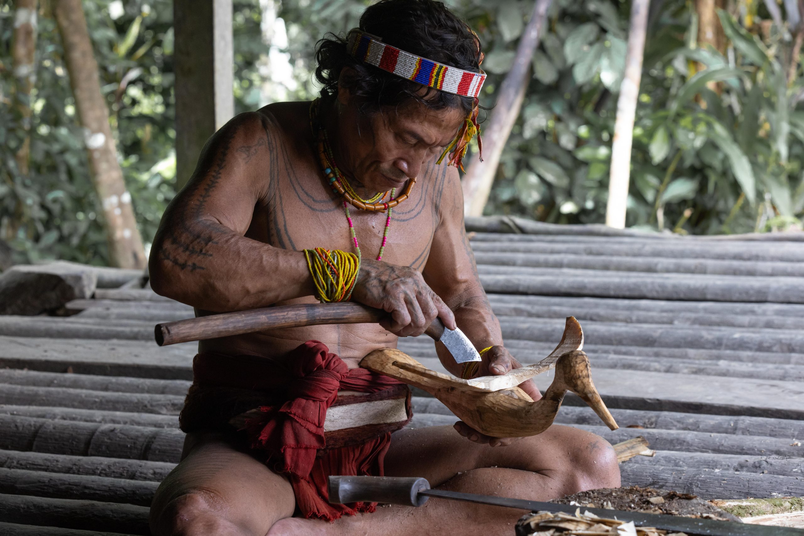 Highlights, Indonesia, Mentawai, Sakuddei, Siberut