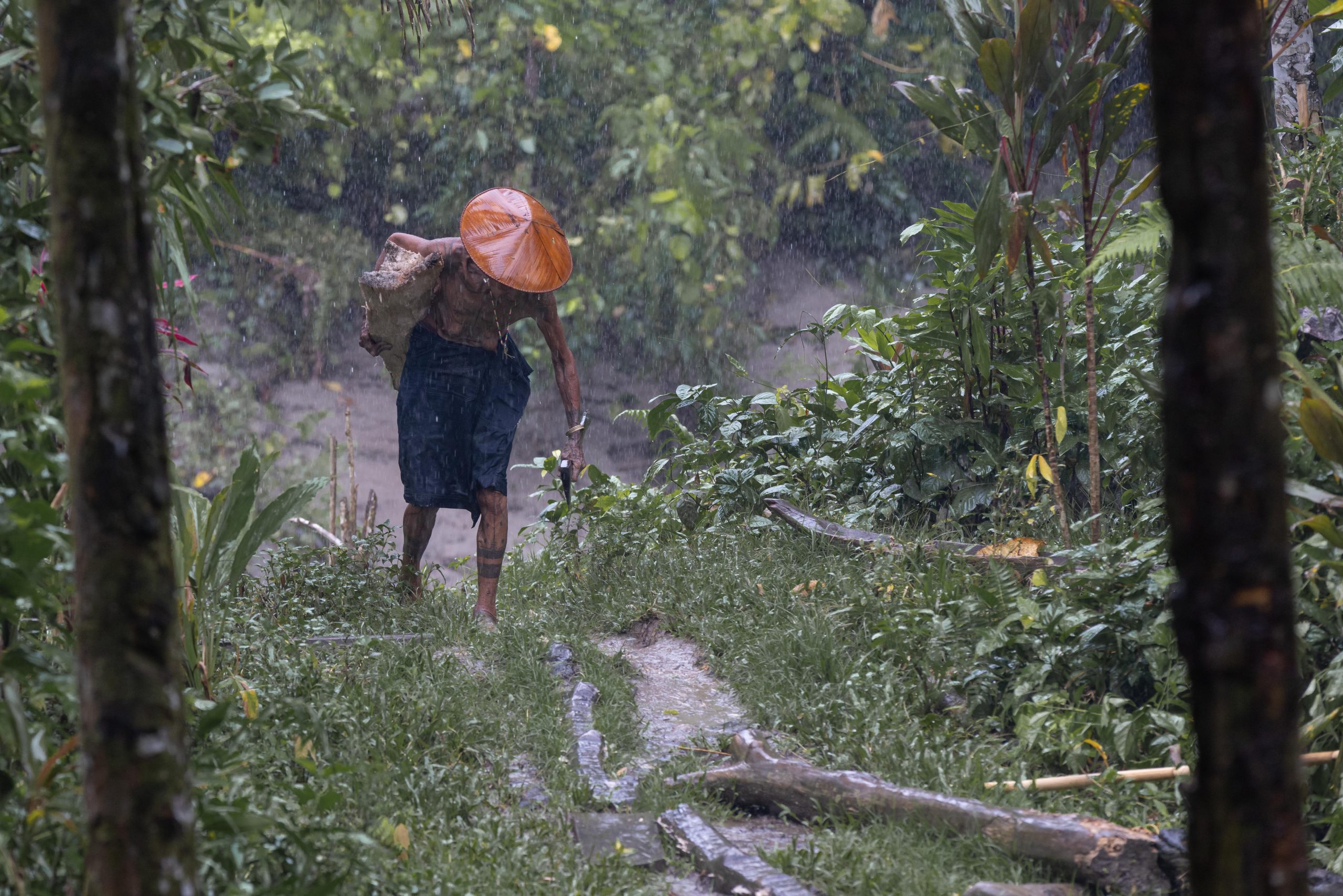 Highlights, Indonesia, Mentawai, Sakuddei, Siberut