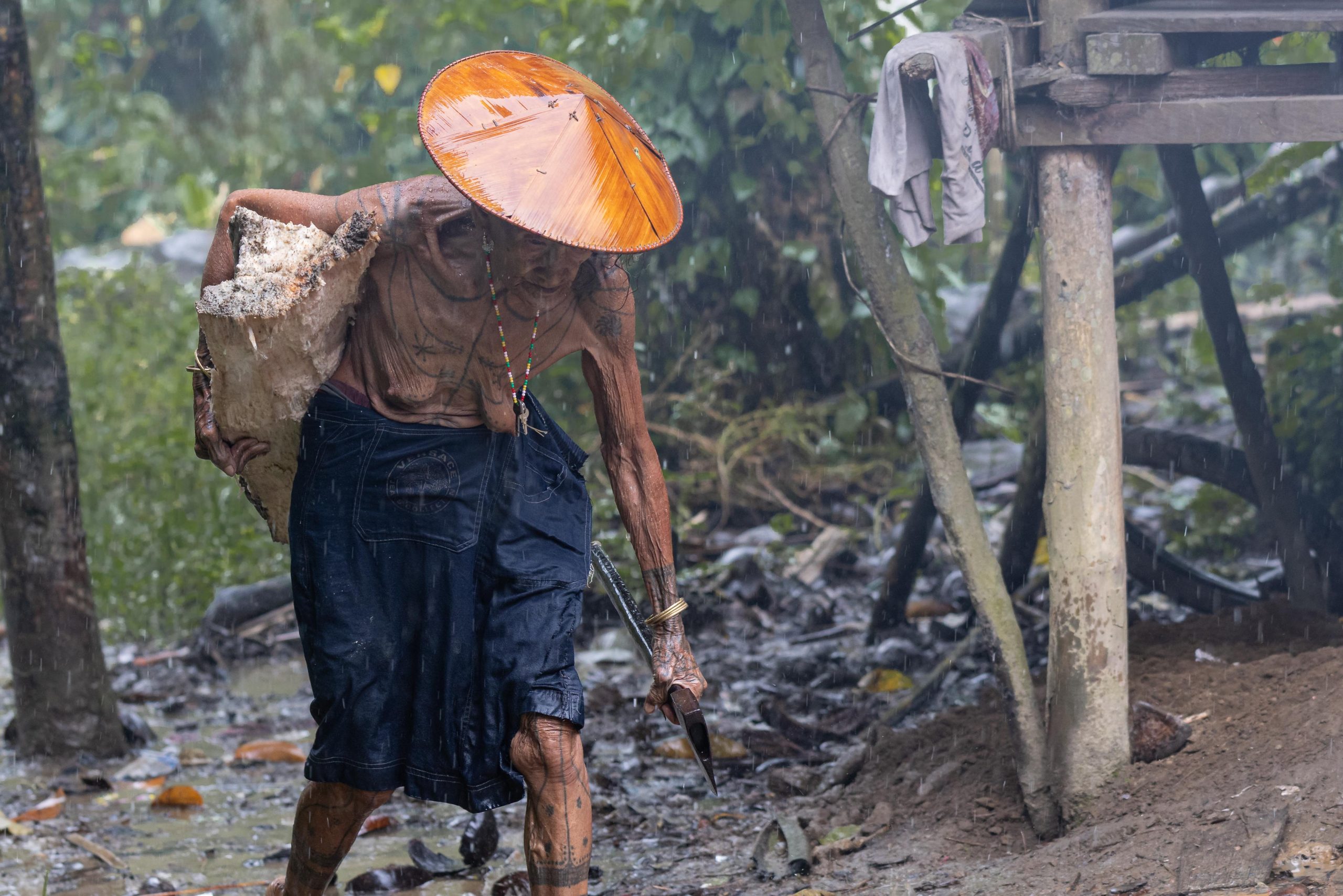 Highlights, Indonesia, Mentawai, Sakuddei, Siberut