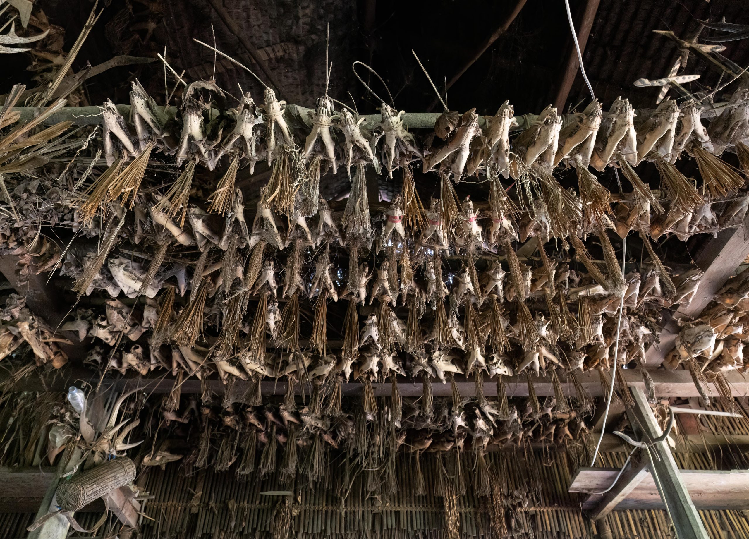 Highlights, Indonesia, Mentawai, Sakuddei, Siberut