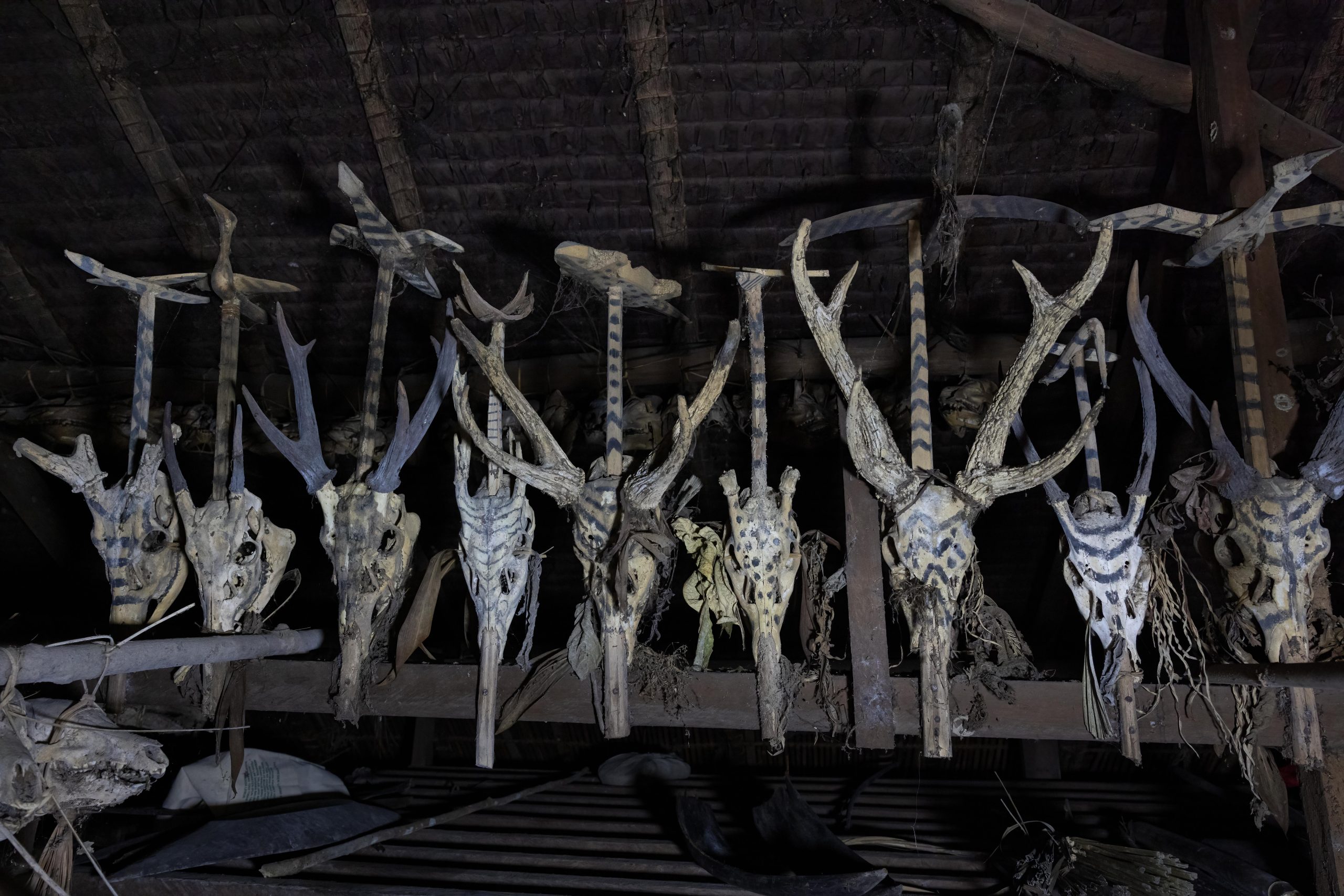 Highlights, Indonesia, Mentawai, Sakuddei, Siberut