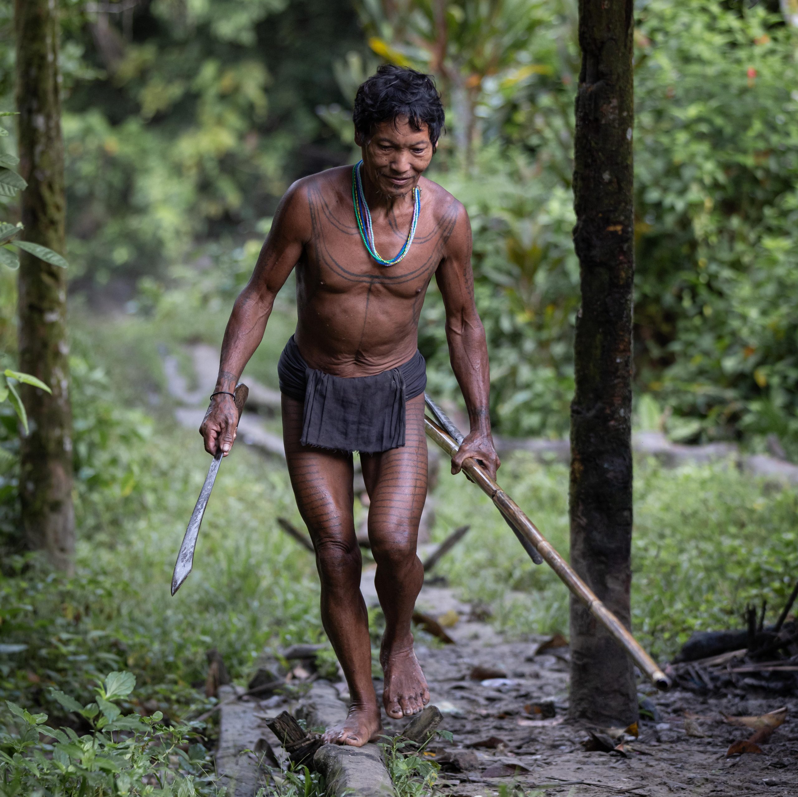 Highlights, Indonesia, Mentawai, Sakuddei, Siberut