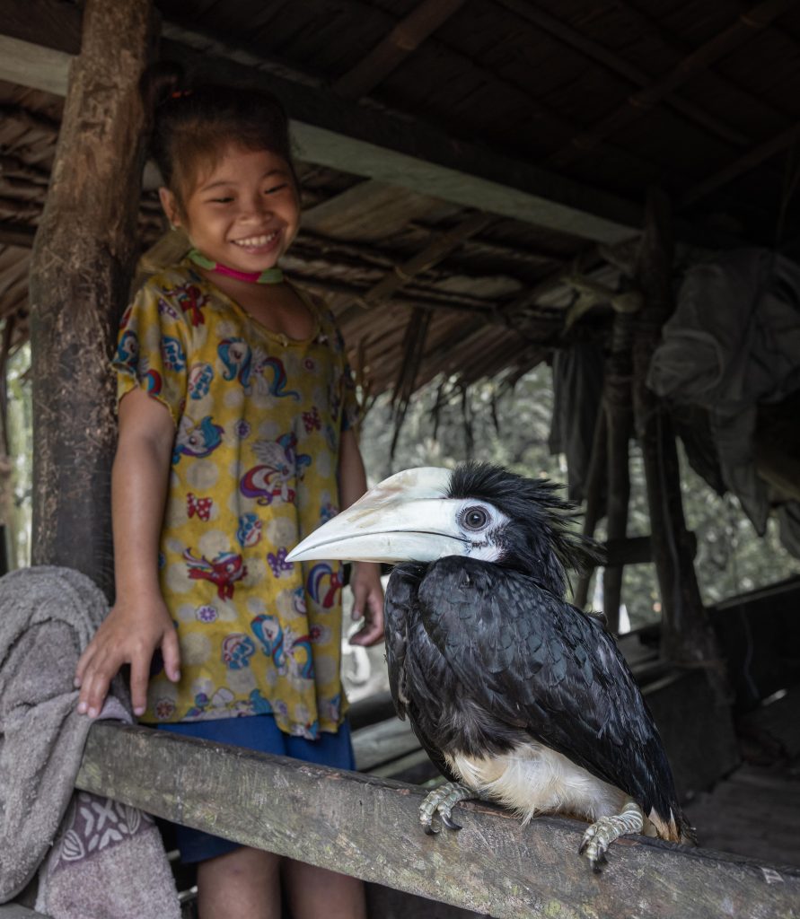 Highlights, Indonesia, Mentawai, Sakuddei, Siberut