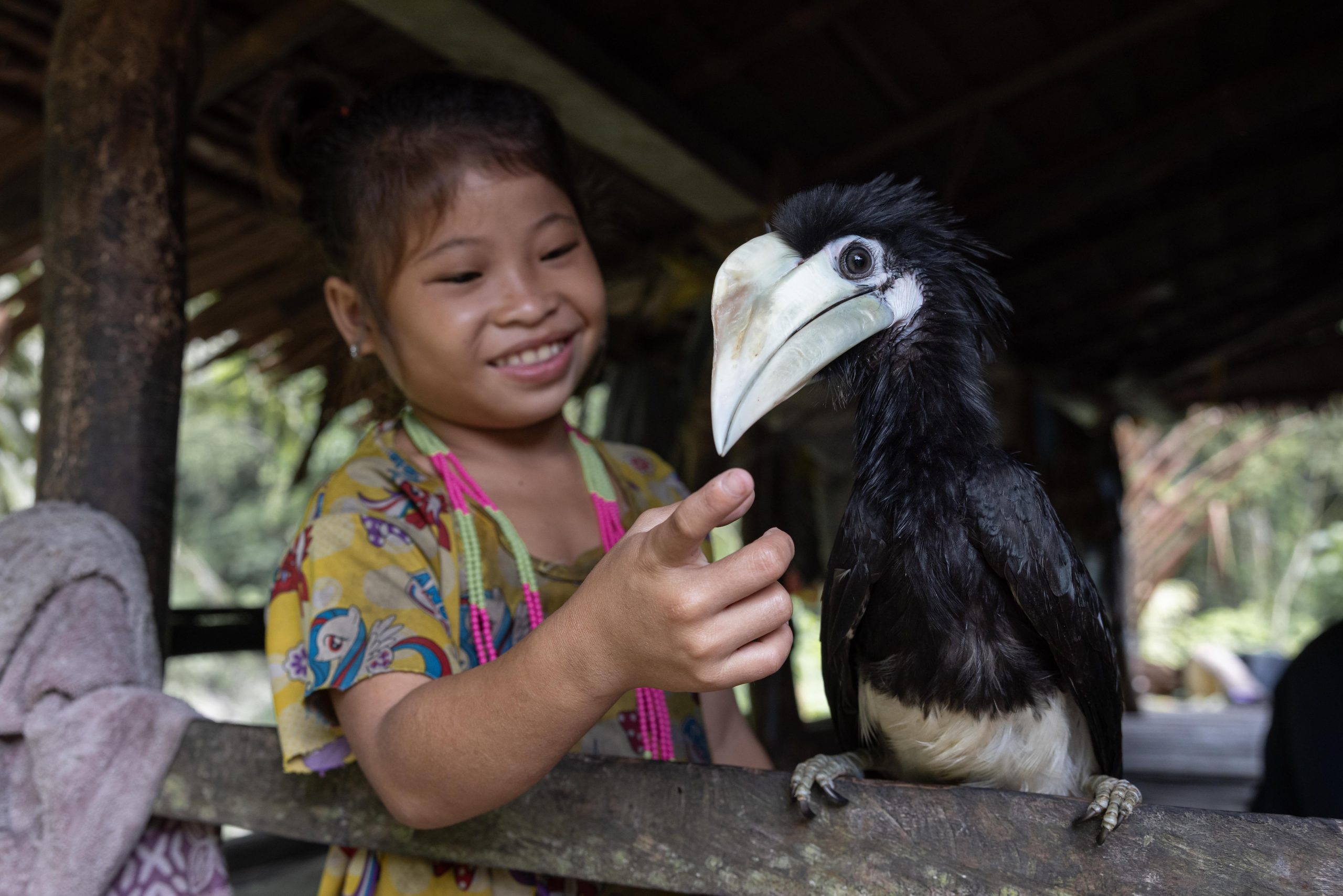 Highlights, Indonesia, Mentawai, Sakuddei, Siberut