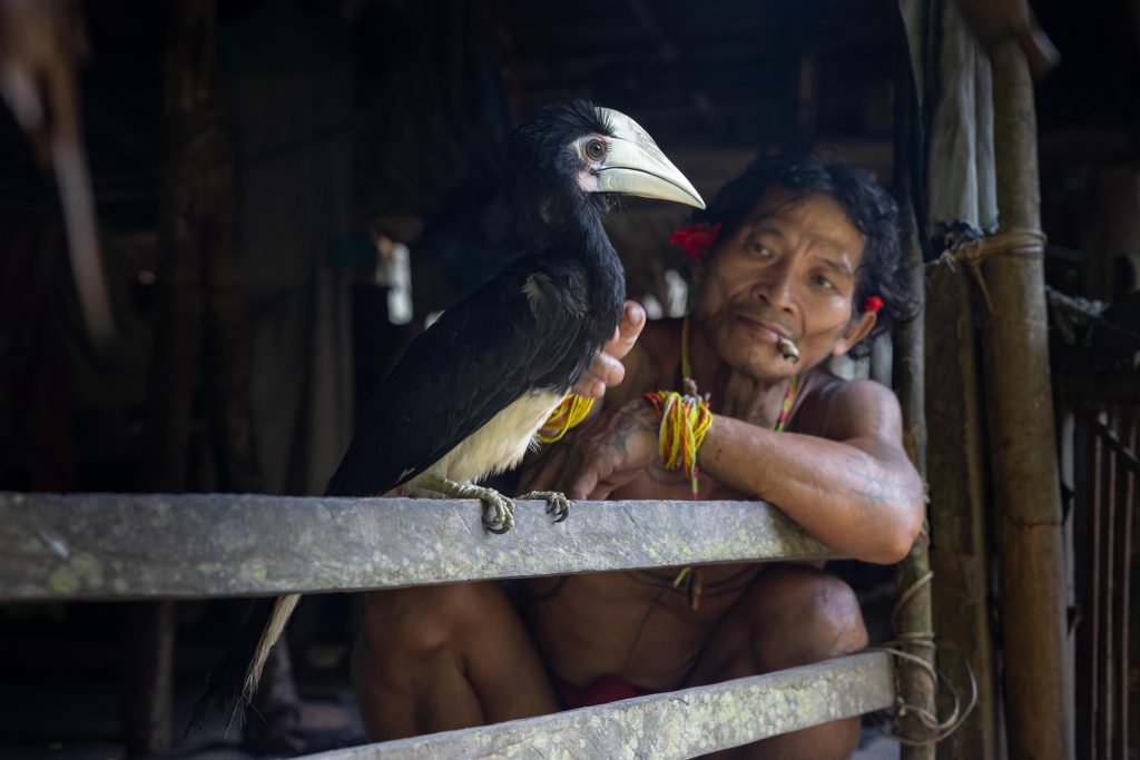 Highlights, Indonesia, Mentawai, Sakuddei, Siberut