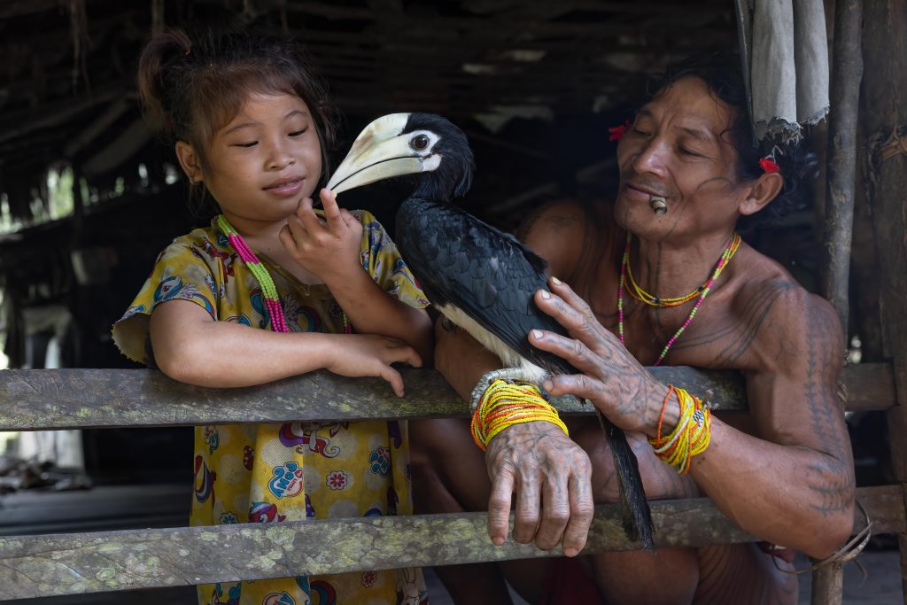 Highlights, Indonesia, Mentawai, Sakuddei, Siberut
