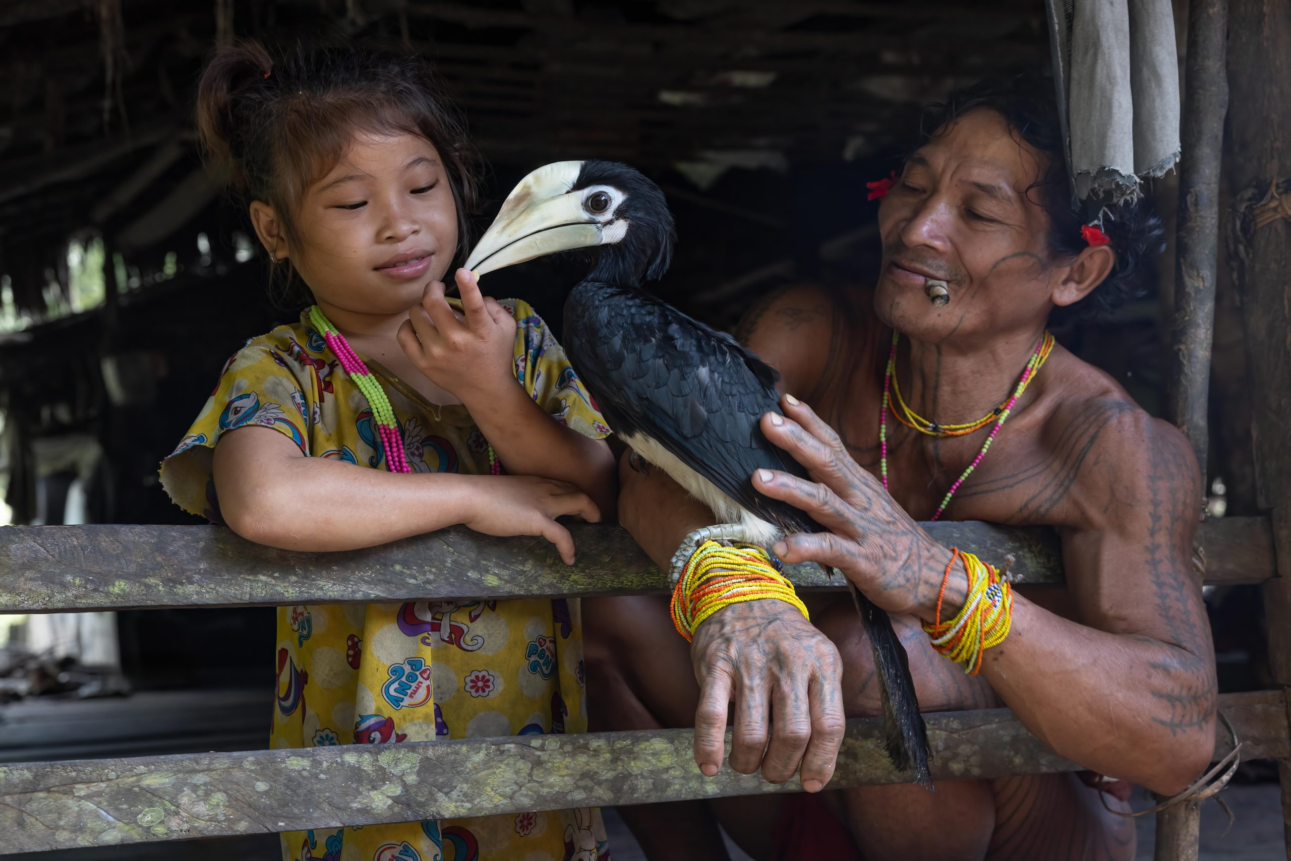 Highlights, Indonesia, Mentawai, Sakuddei, Siberut