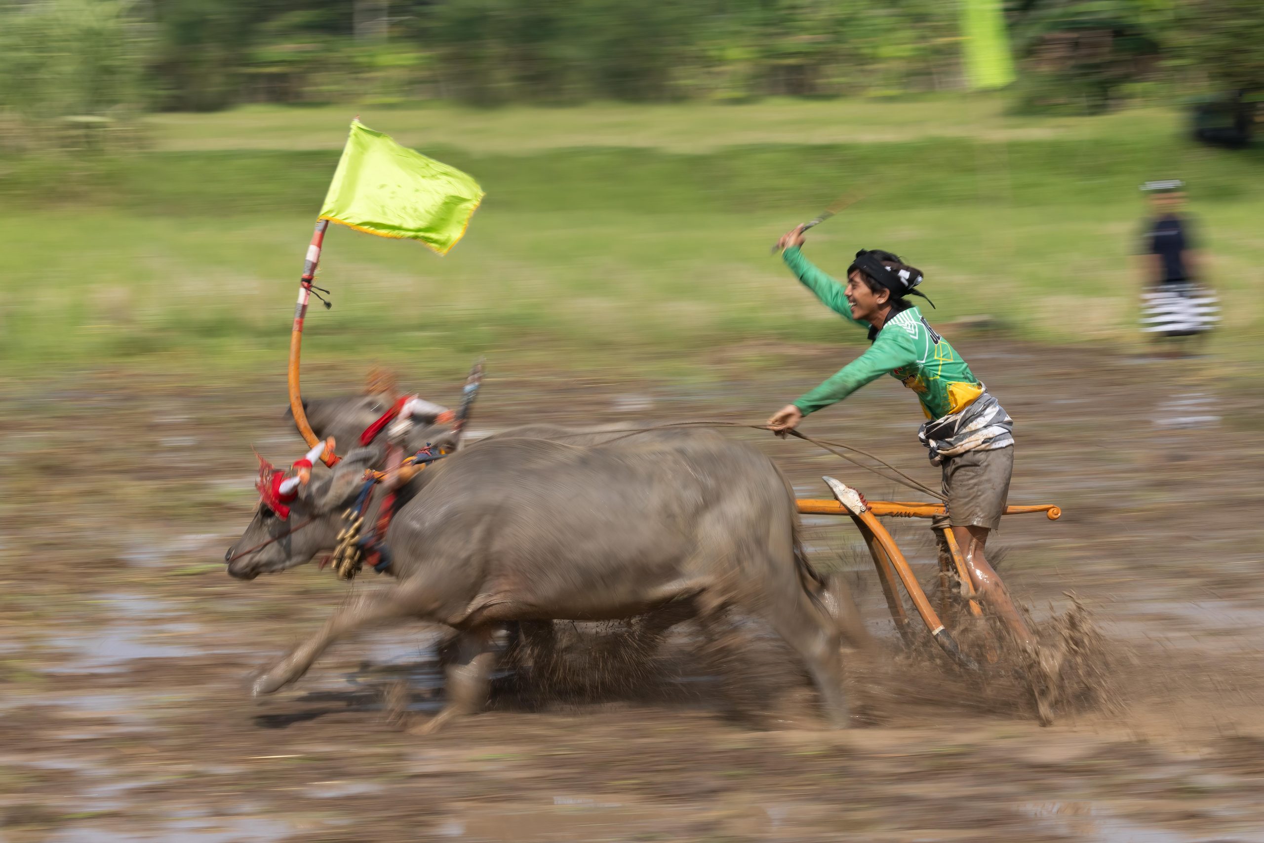 Bali, Highlights, Indonesia, Jembrana, Makepung, Negara, lampit