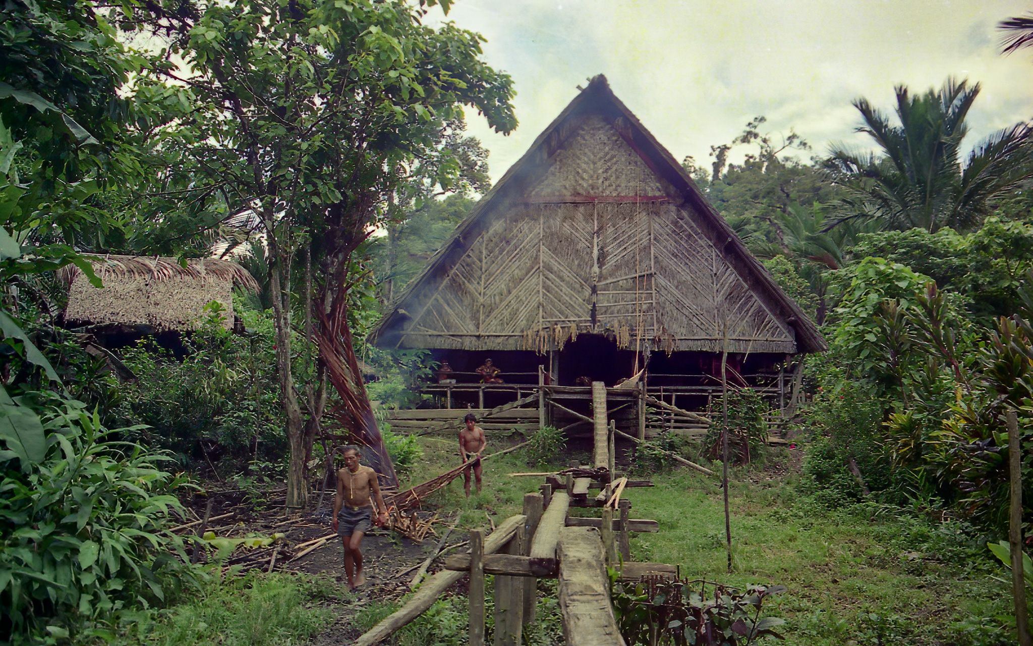 Sakuddei,mentawai,uma