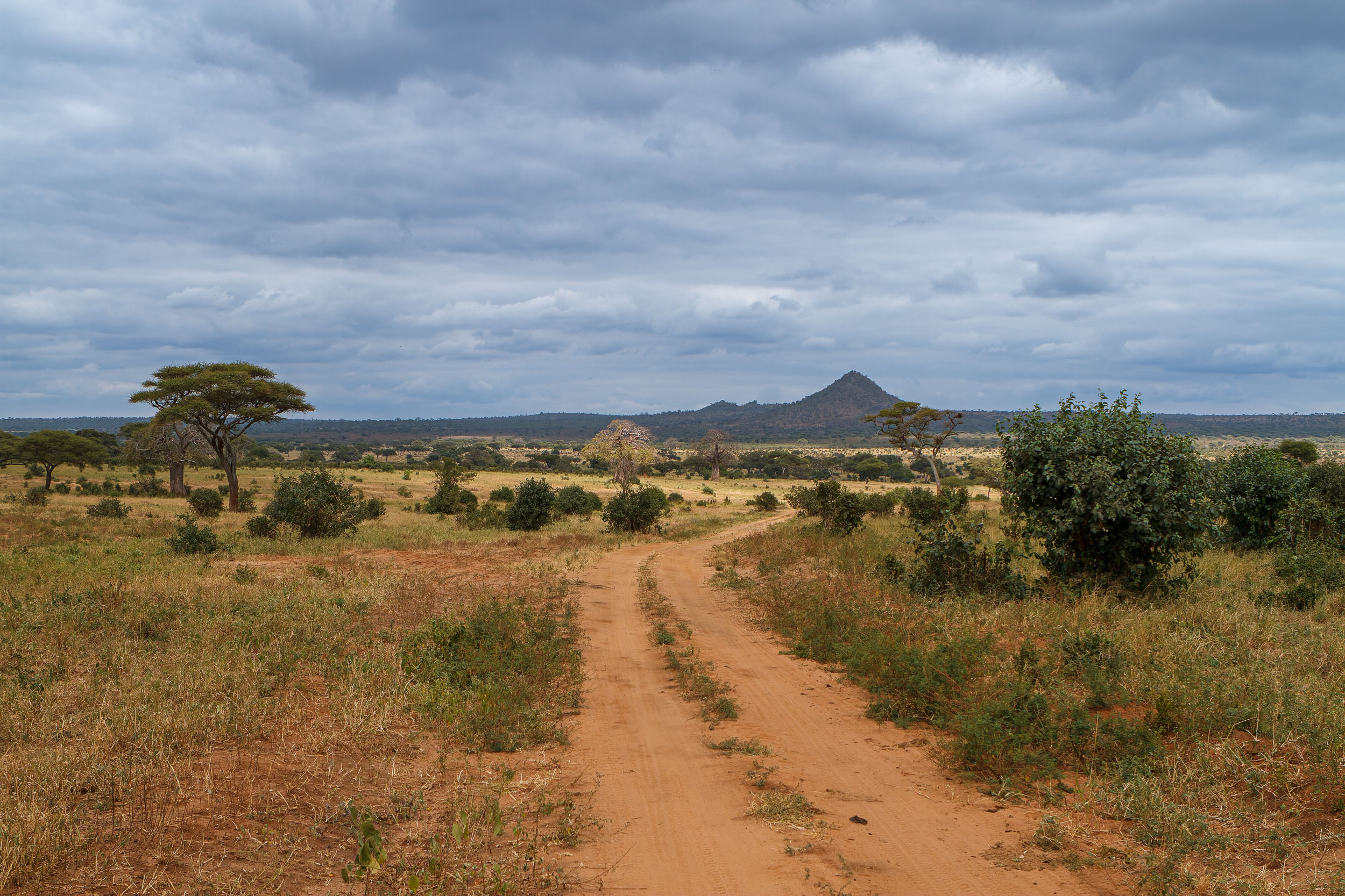 Tarangire National Park in Tanzania