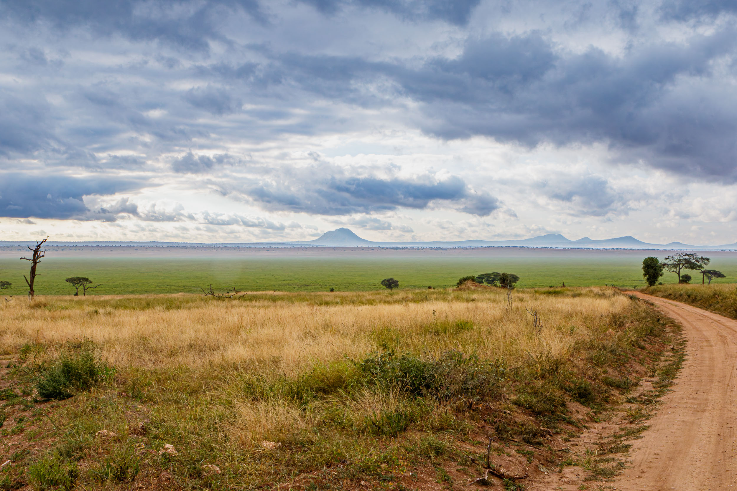 Tanzania, Tarangire National Park