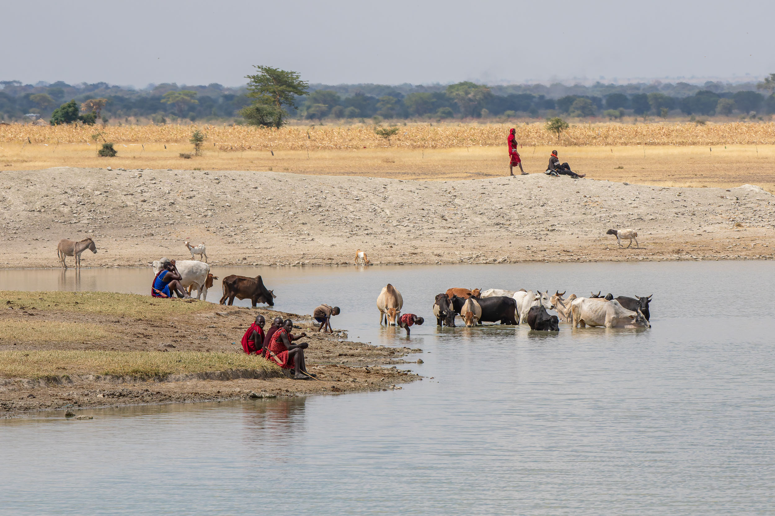 Lake Eyasi, Lake Manyara, Tanzania