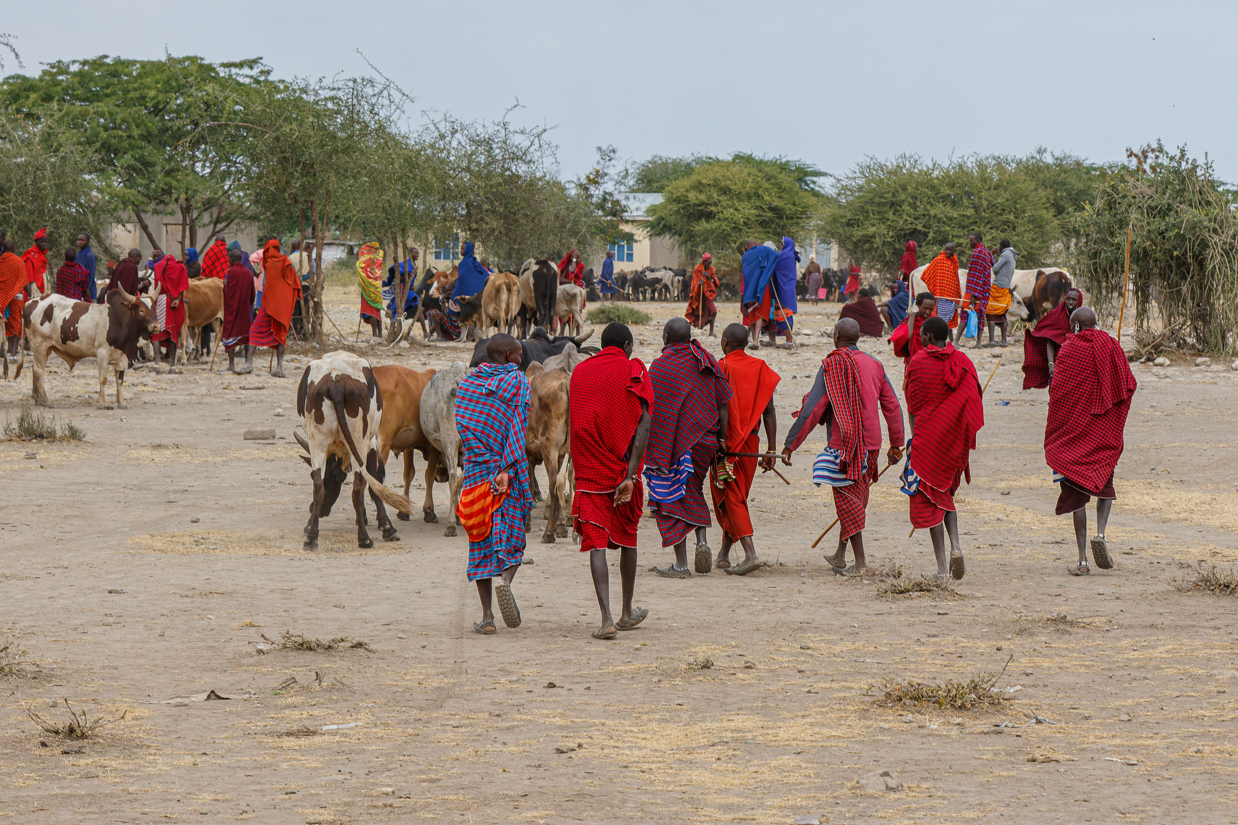 Lake Eyasi, Lake Manyara, Tanzania