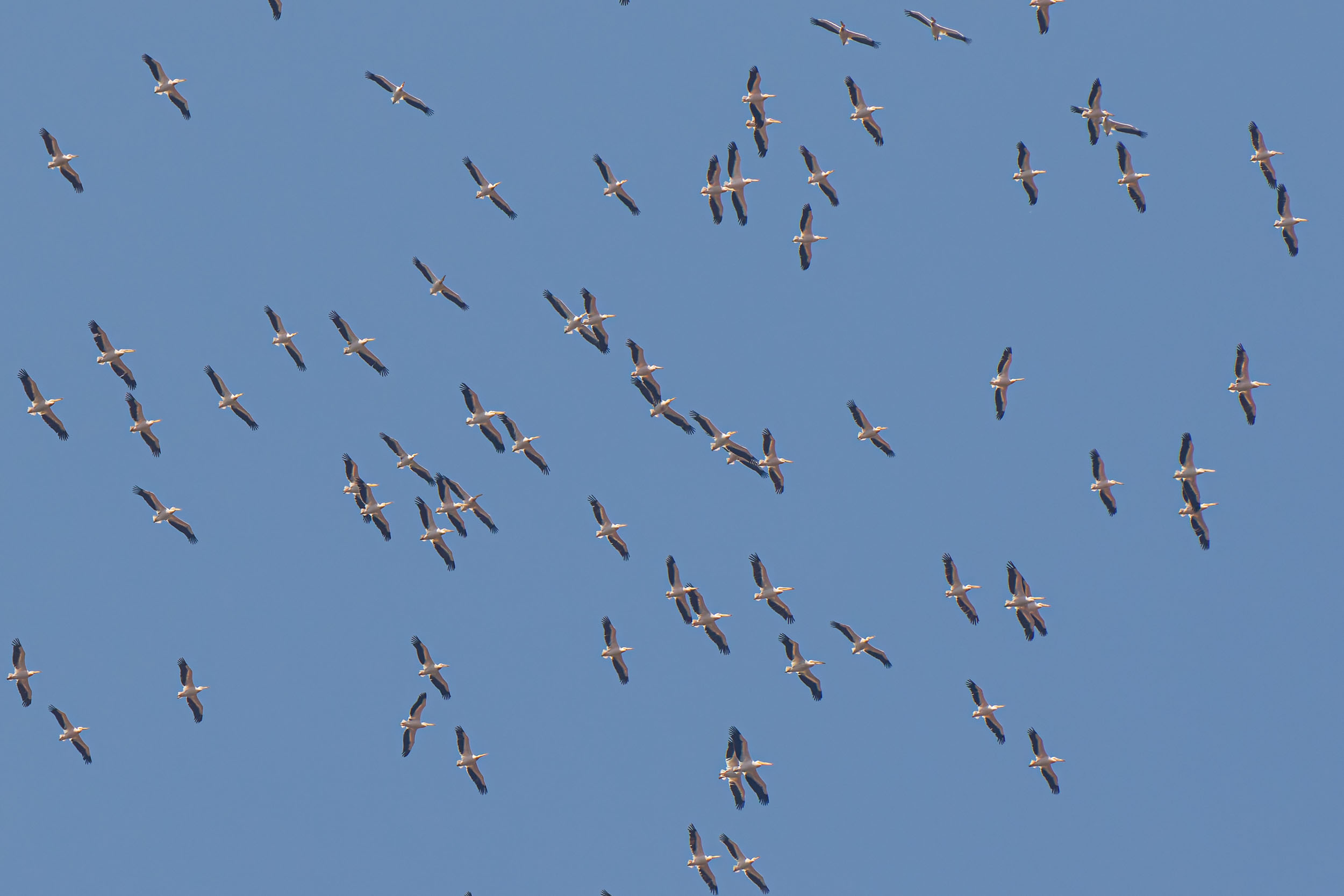 Lake Eyasi, Lake Manyara, Tanzania