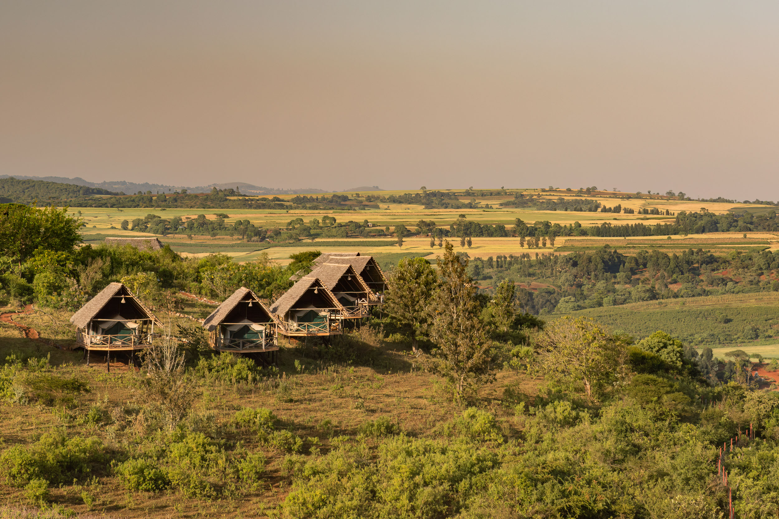 Ngorongoro Conservation Area, Rhotia Valley Tented Lodge, Tanzania